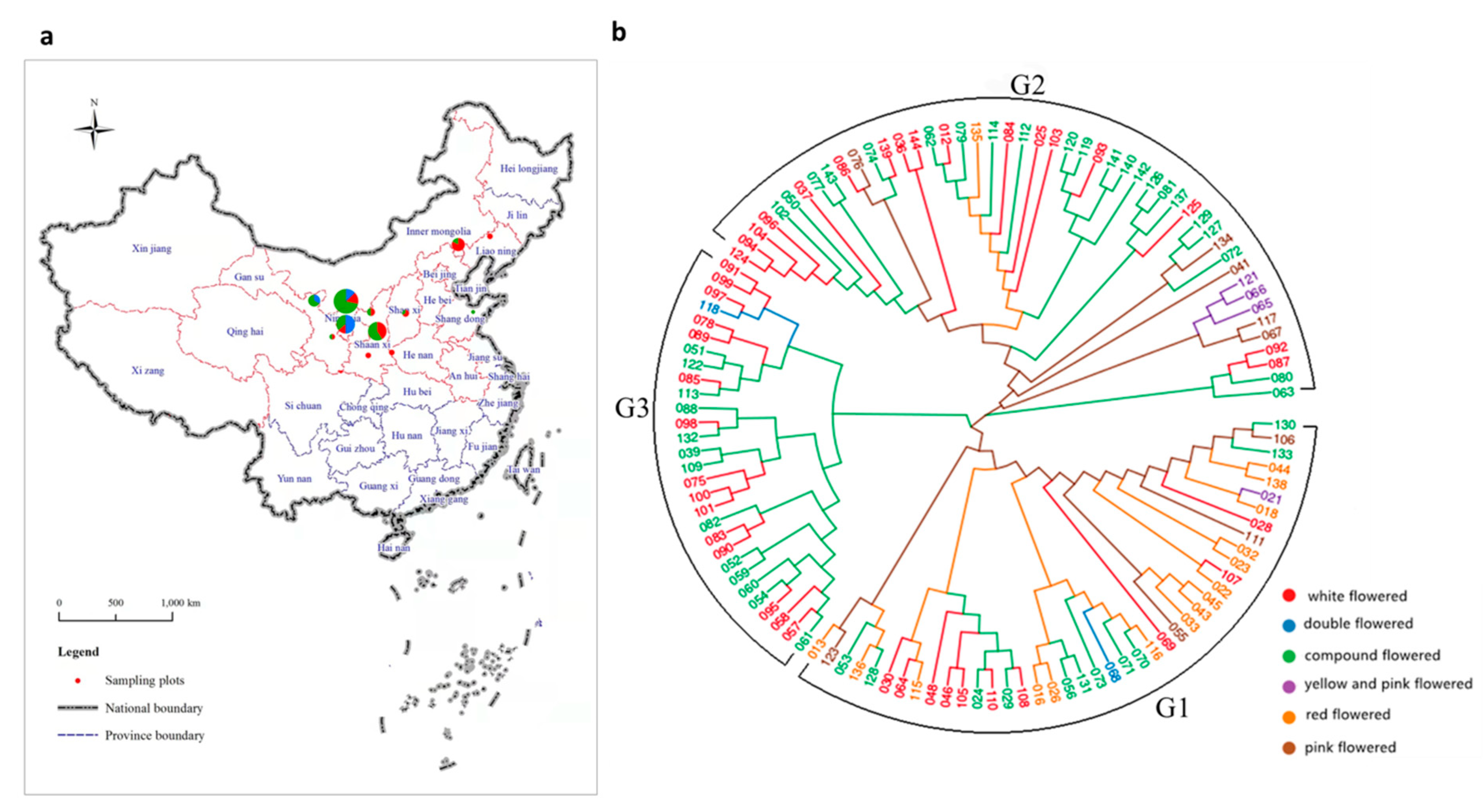 Forests 13 00338 g001