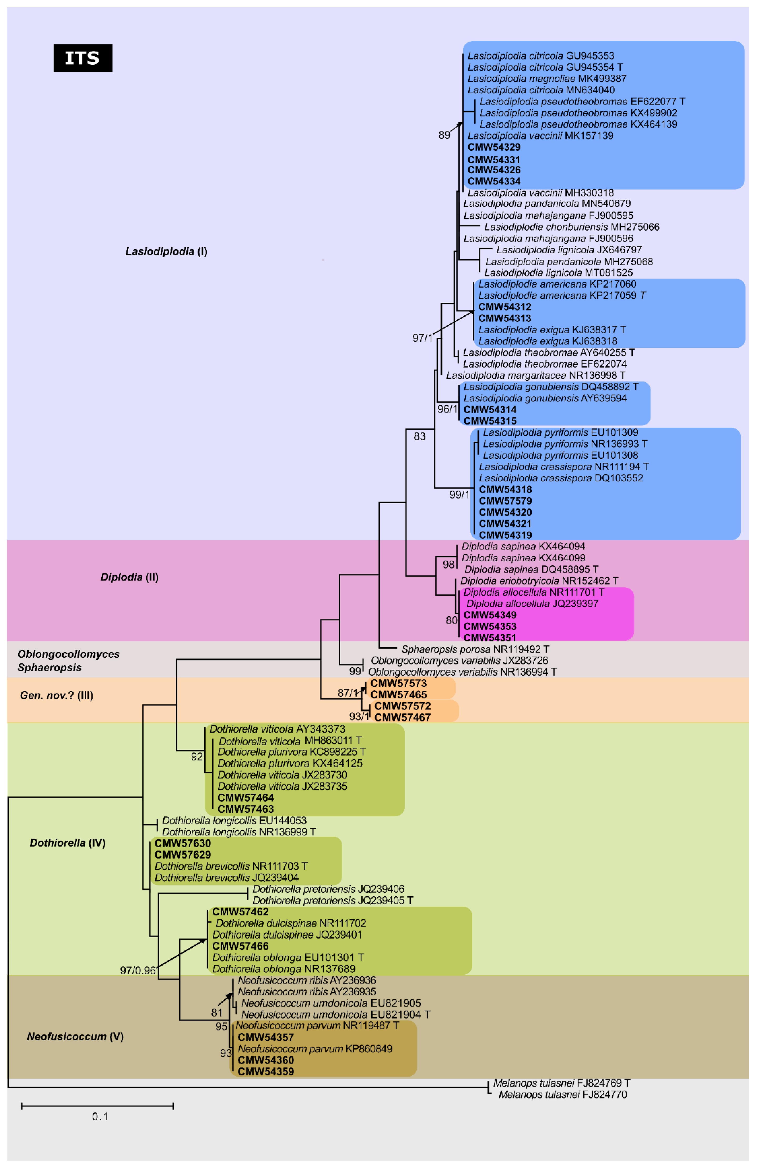 Forests 13 00341 g002