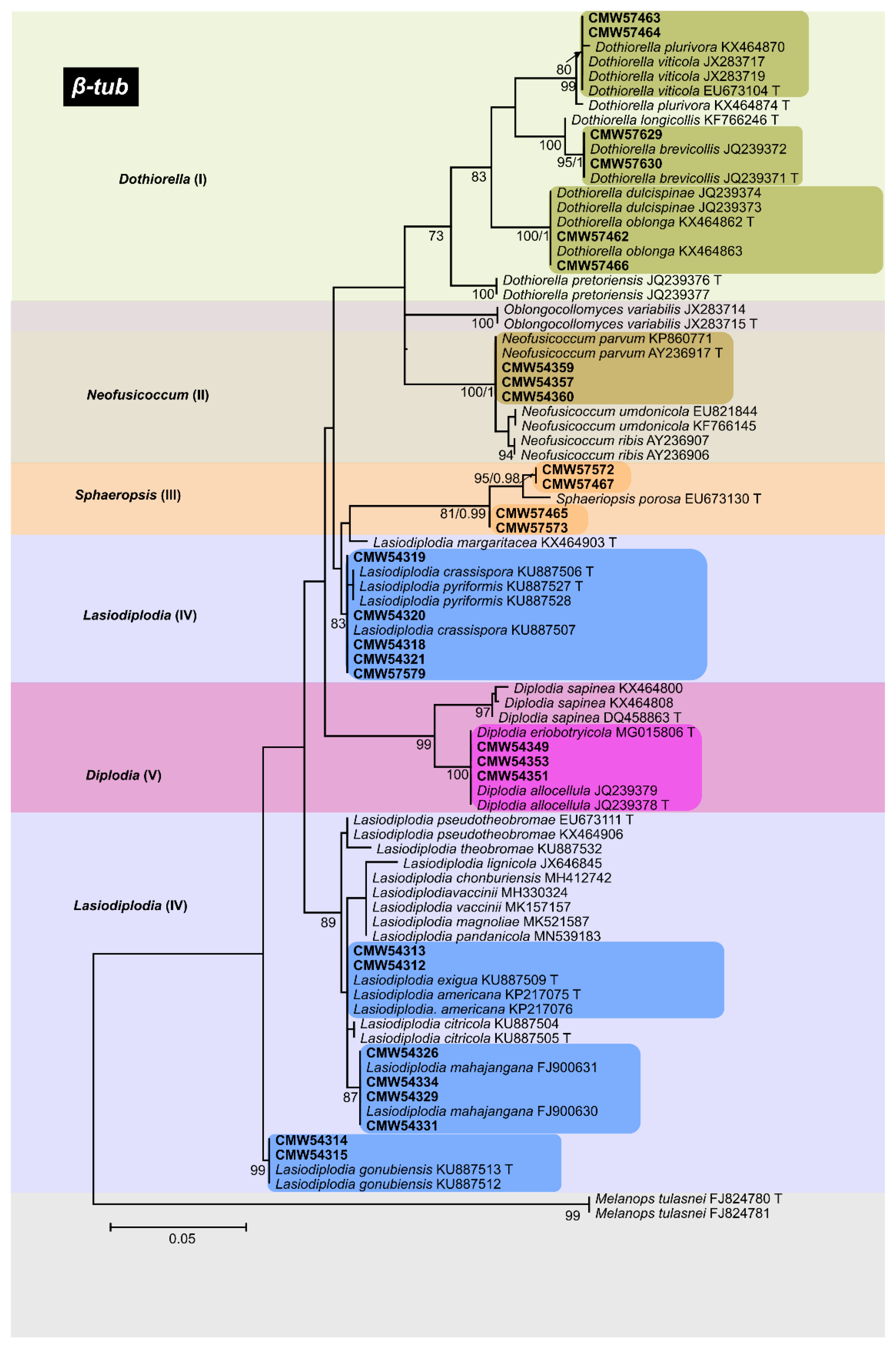 Forests 13 00341 g004