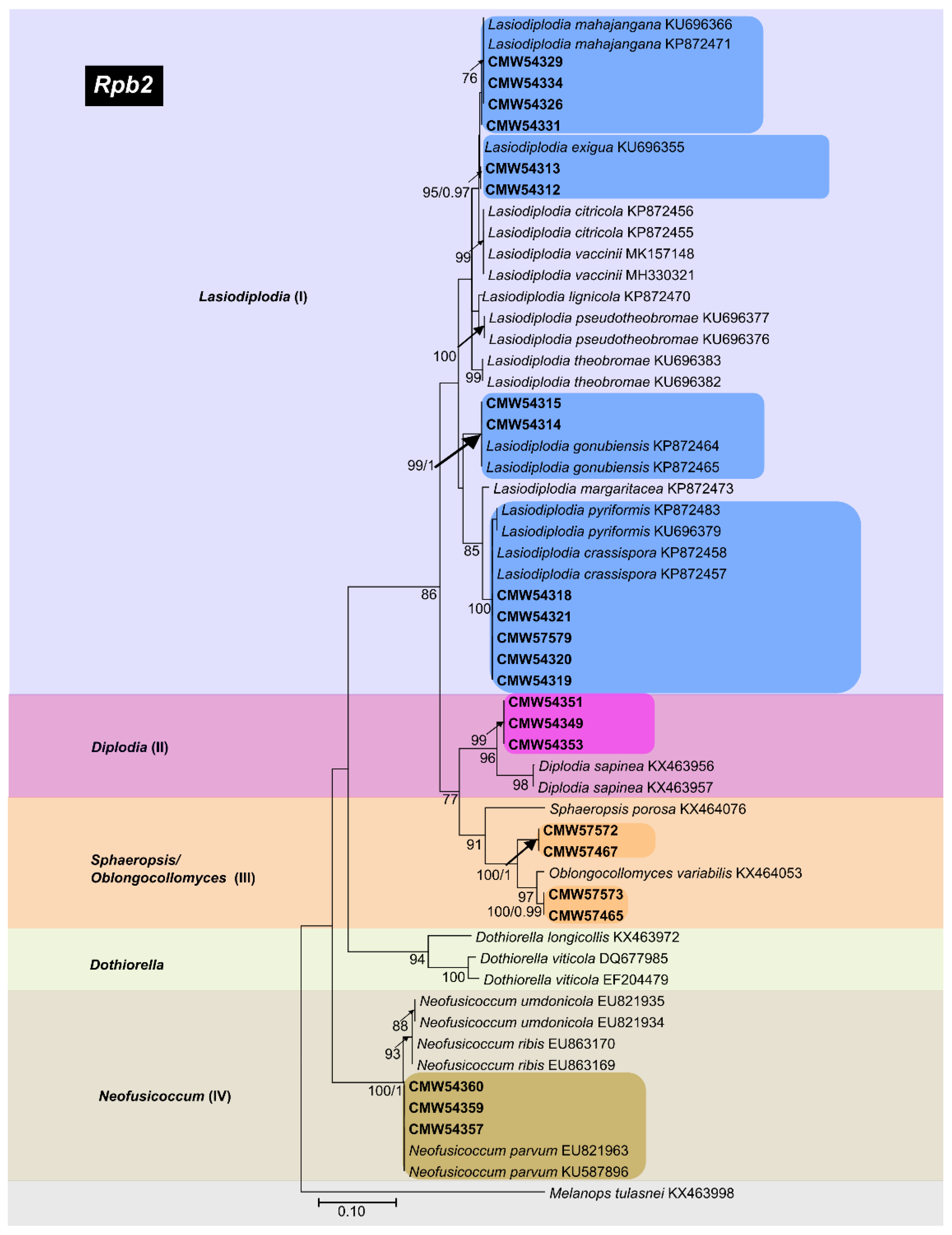 Forests 13 00341 g005