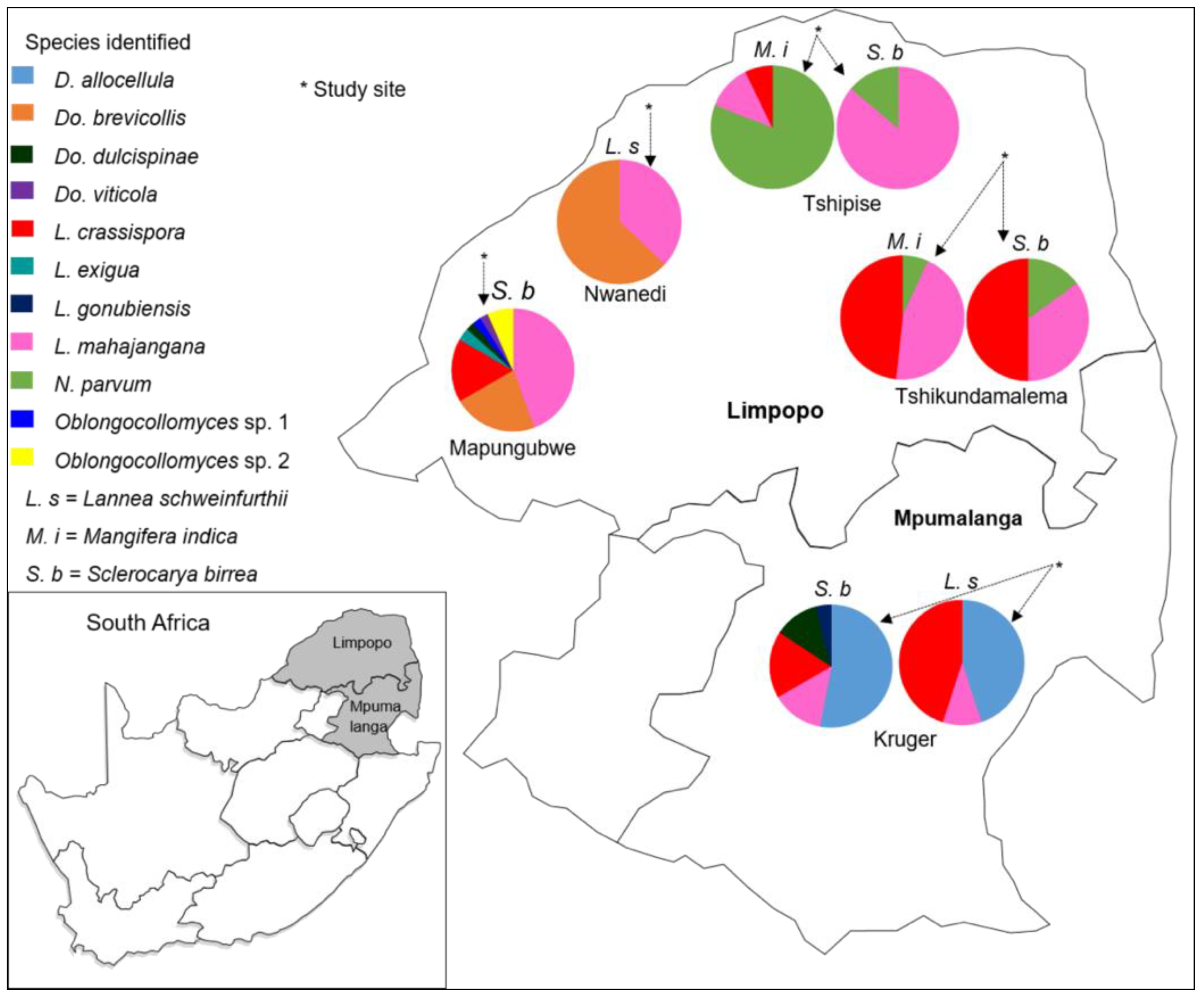 Forests 13 00341 g006
