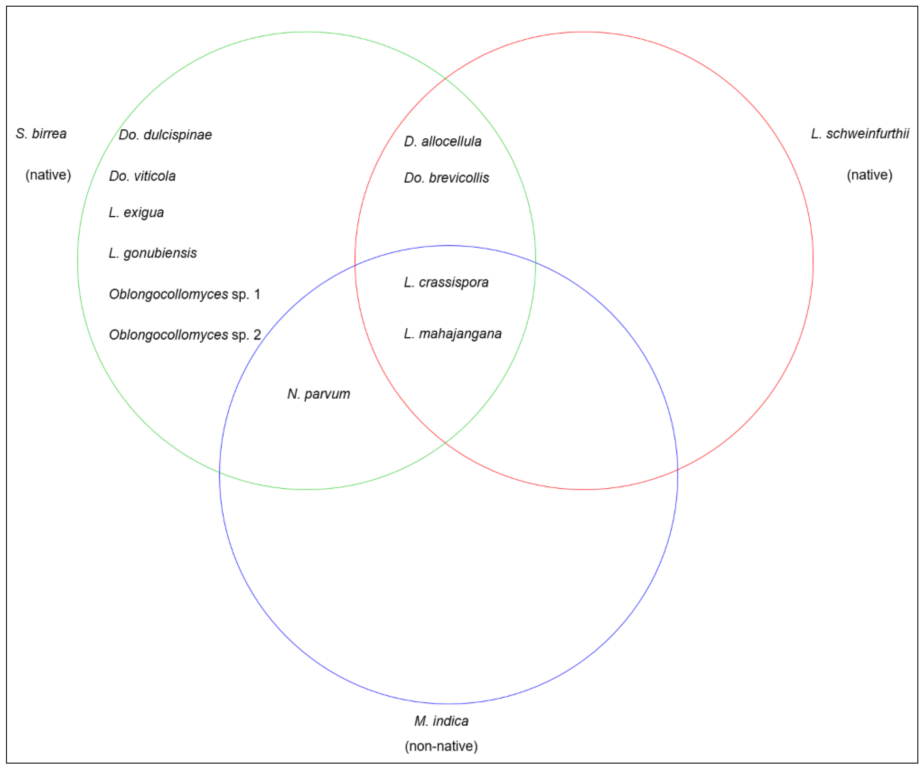 Forests 13 00341 g008