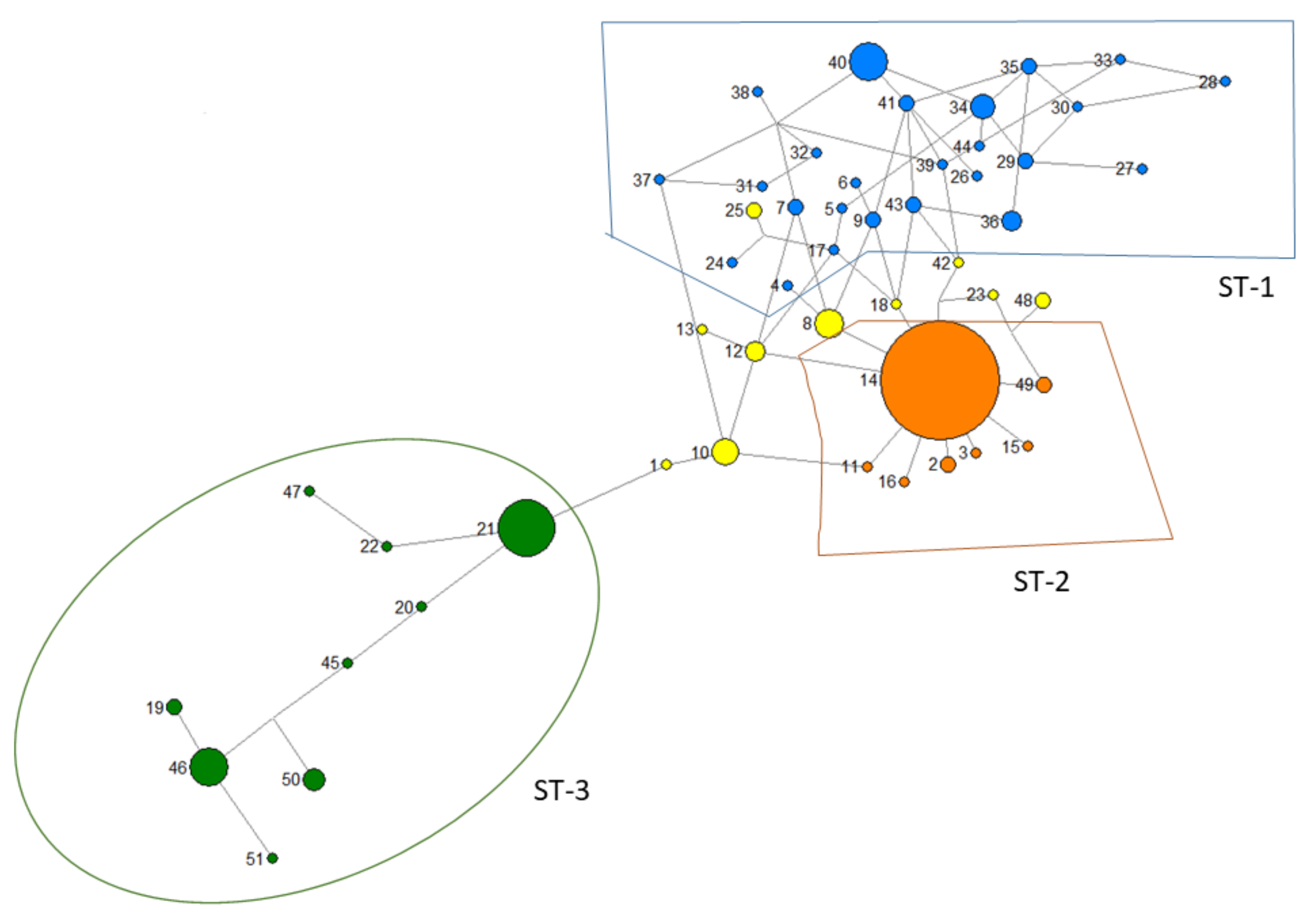 Forests 13 00344 g002