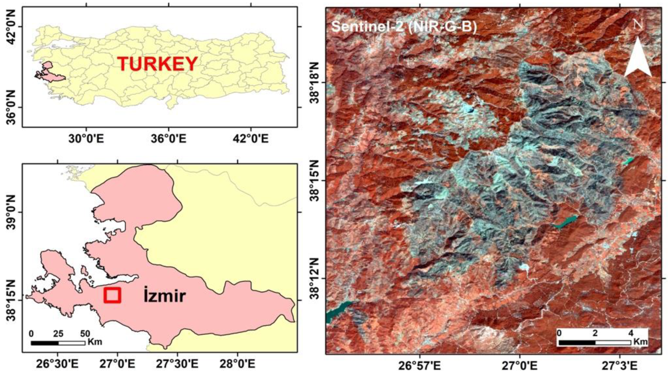 Forests 13 00347 g001