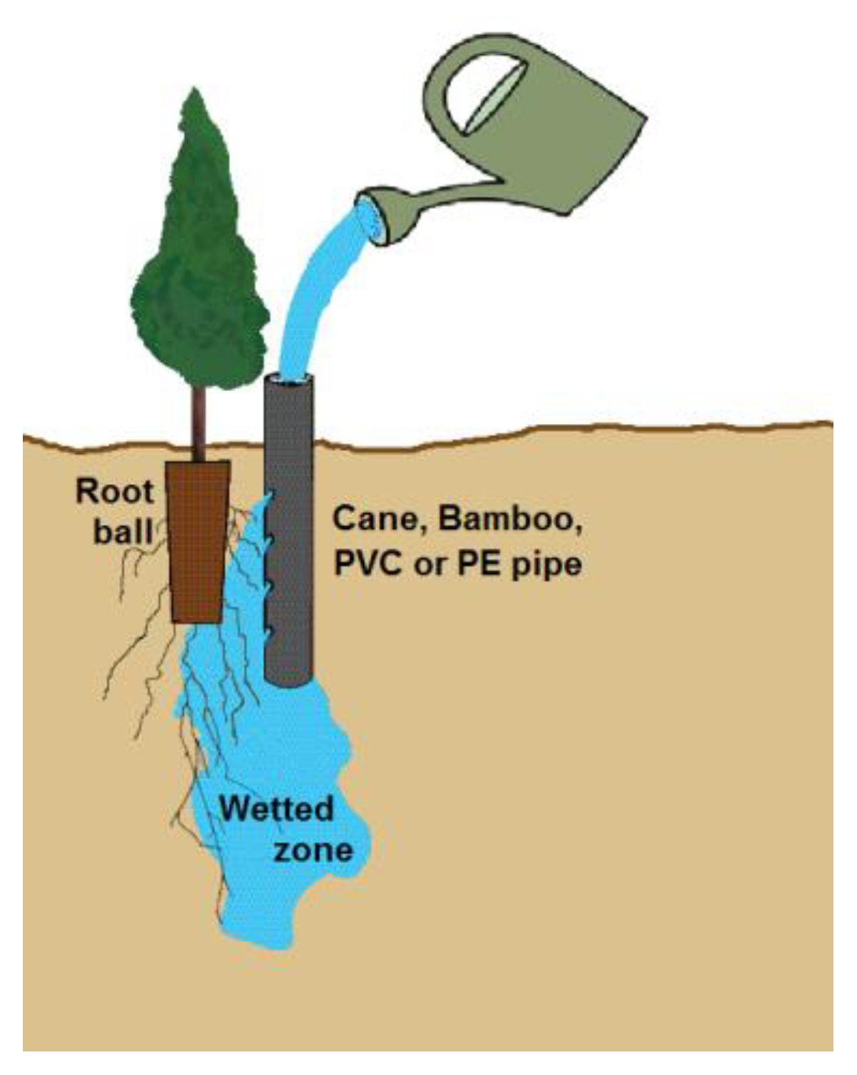 Forests 13 00351 g002