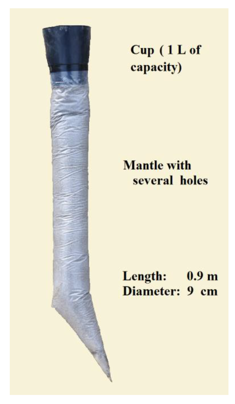 Forests 13 00351 g004