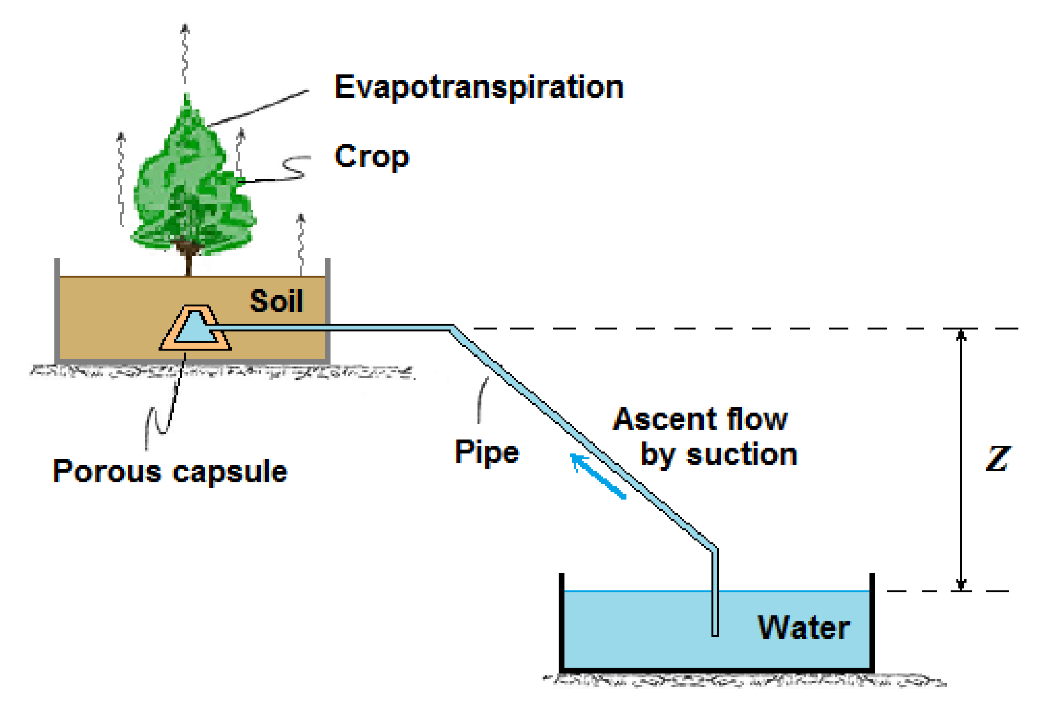Forests 13 00351 g005