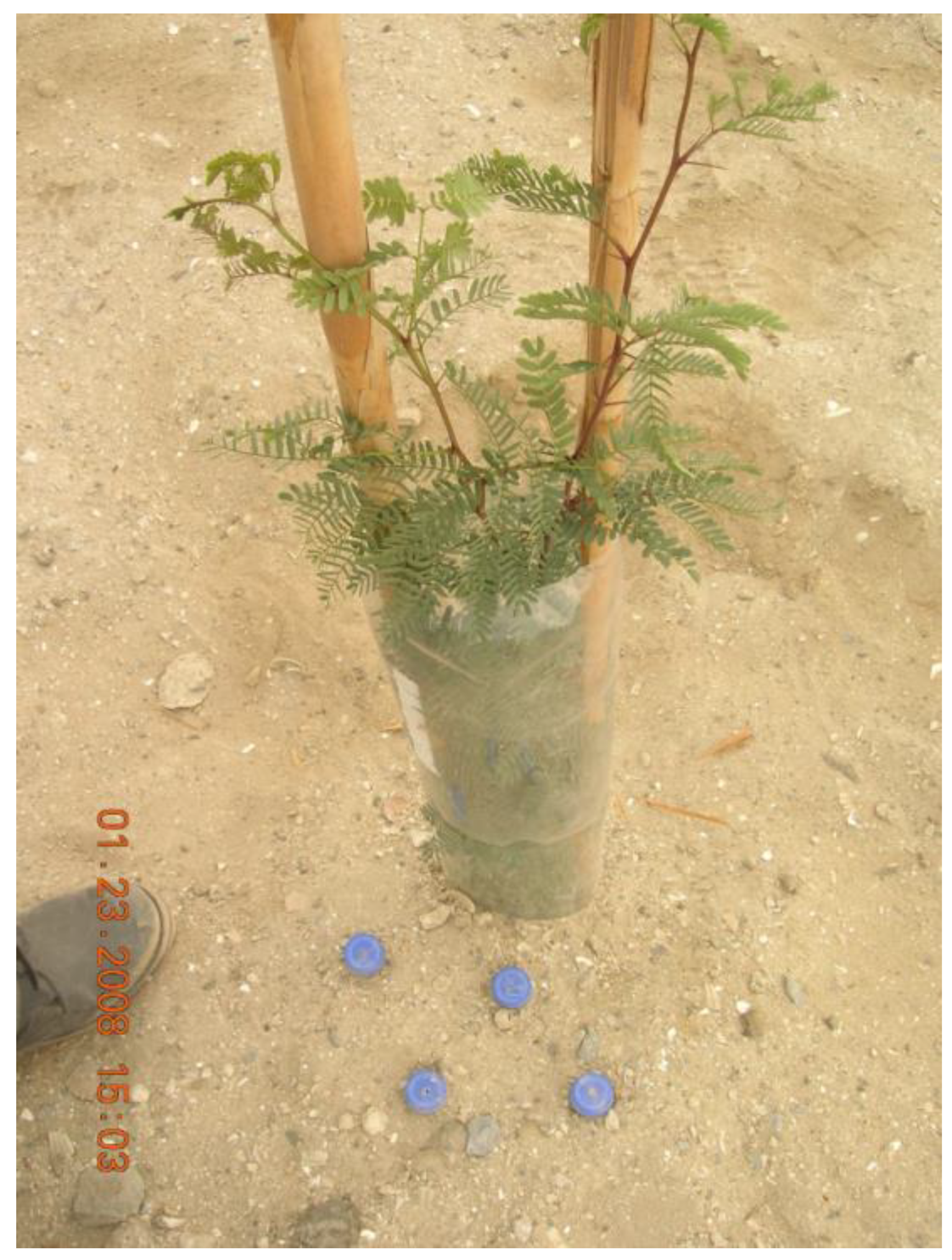 Forests 13 00351 g008