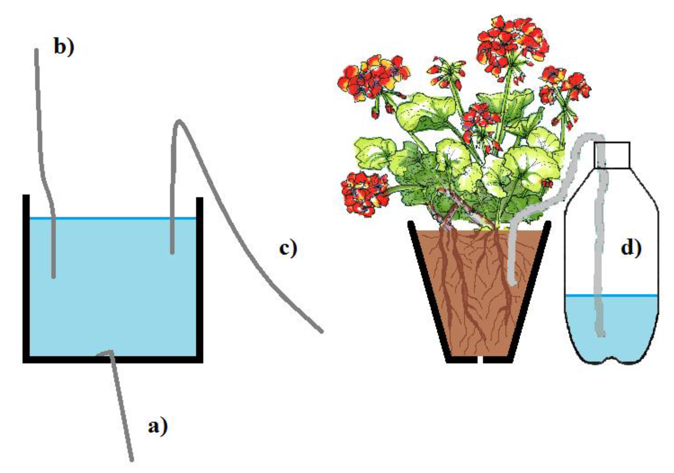 Forests 13 00351 g009