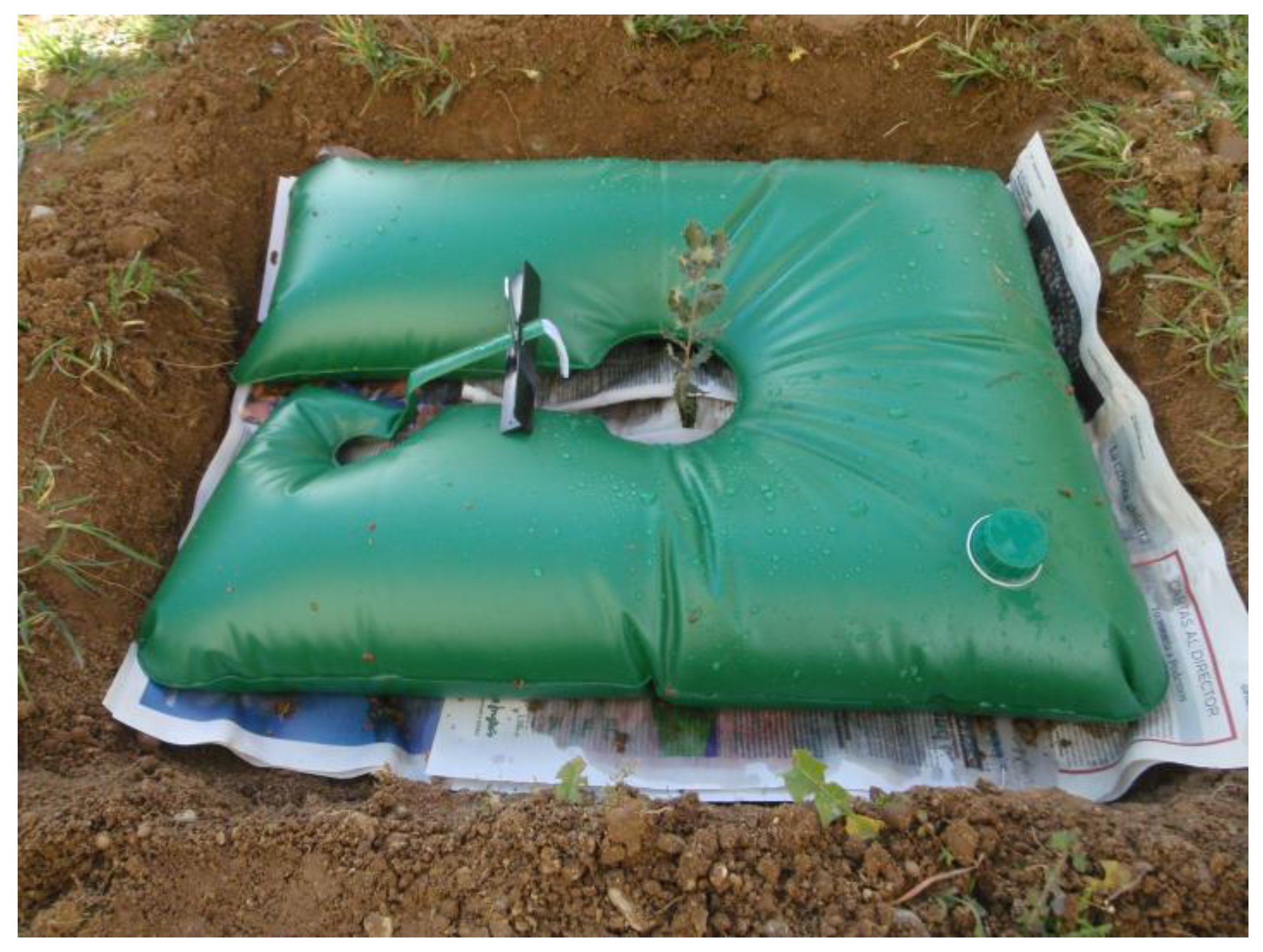 Forests 13 00351 g011