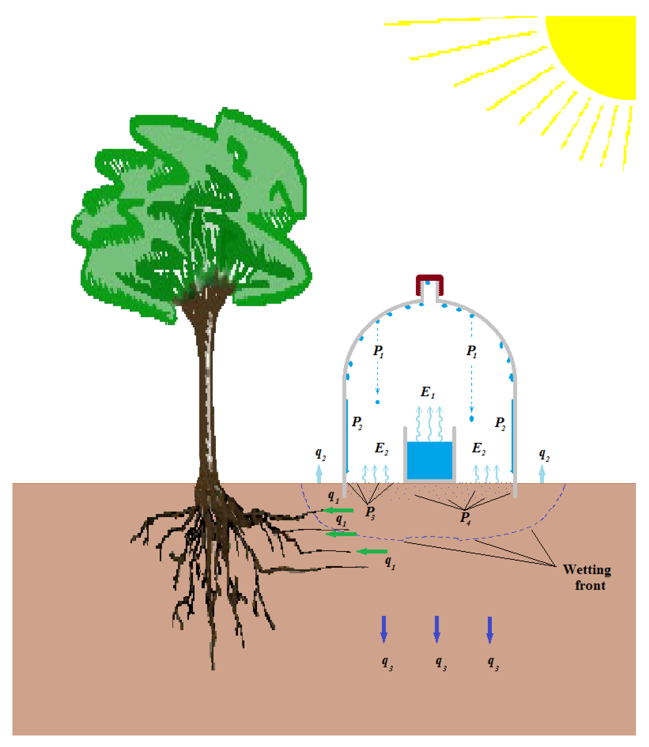 Forests 13 00351 g014