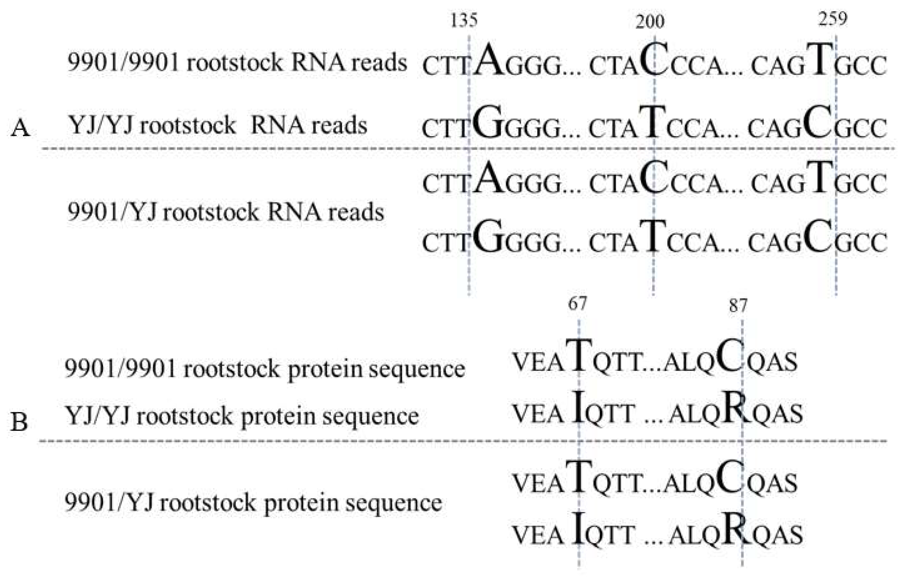 Forests 13 00354 g005
