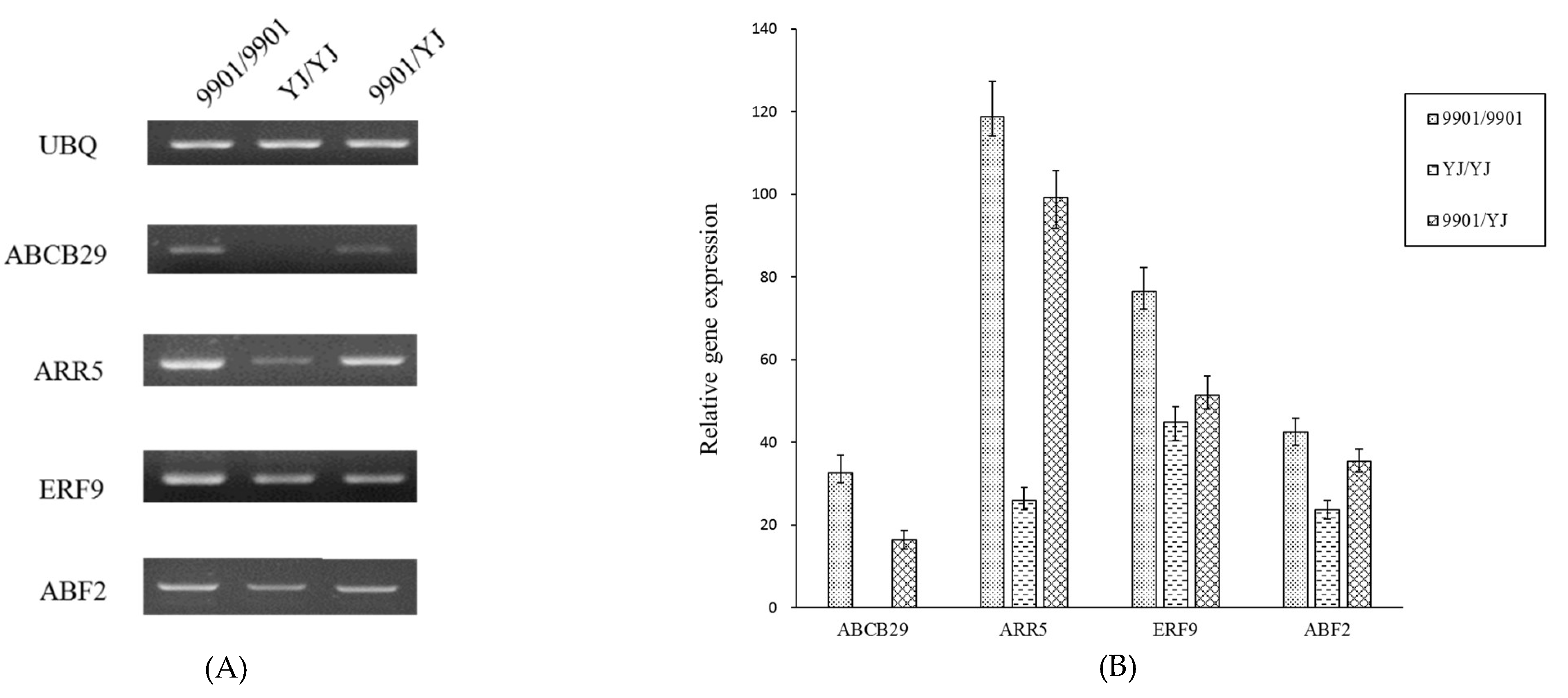 Forests 13 00354 g006