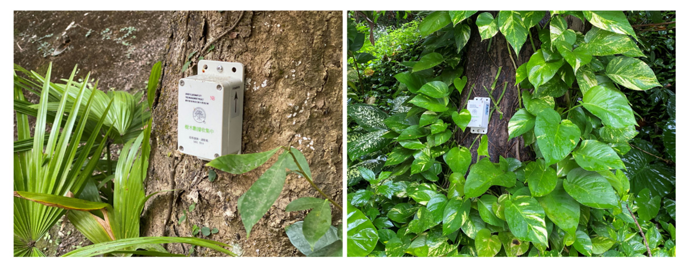 Forests 13 00359 g003