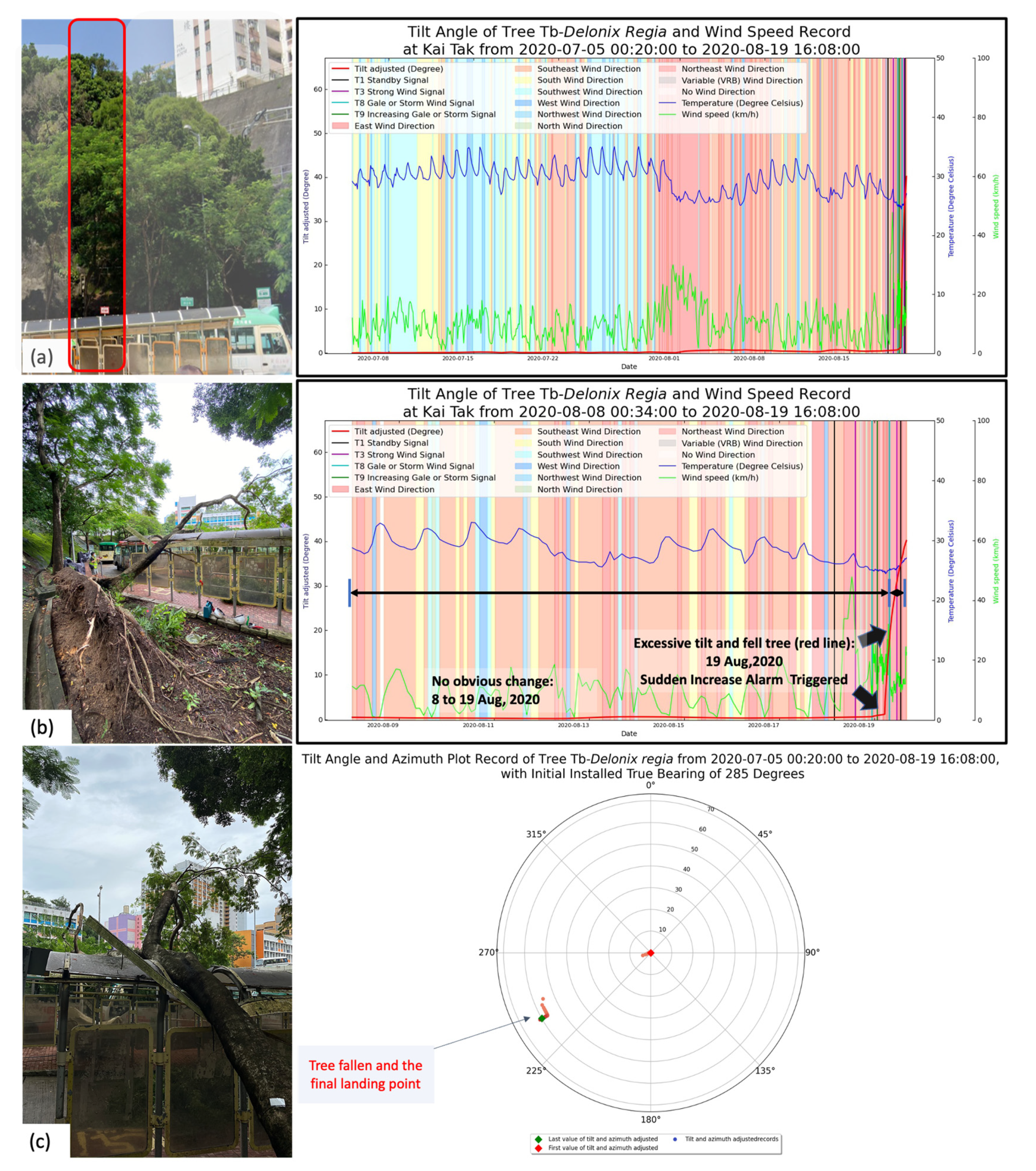Forests 13 00359 g006