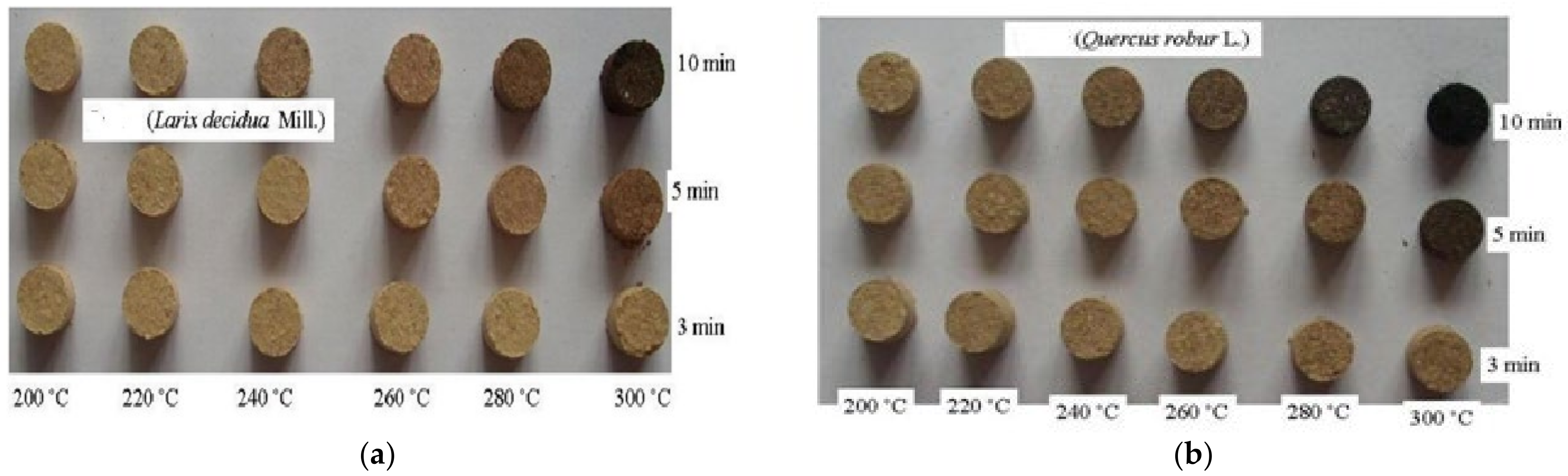 Forests 13 00361 g002