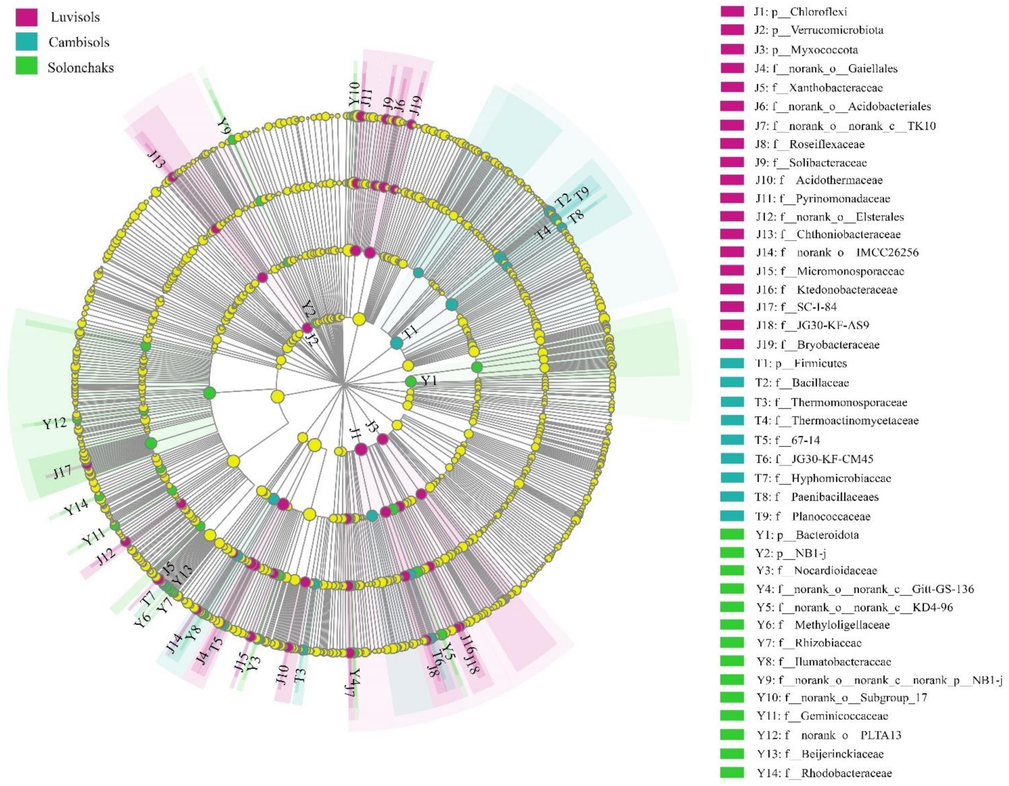 Forests 13 00363 g003