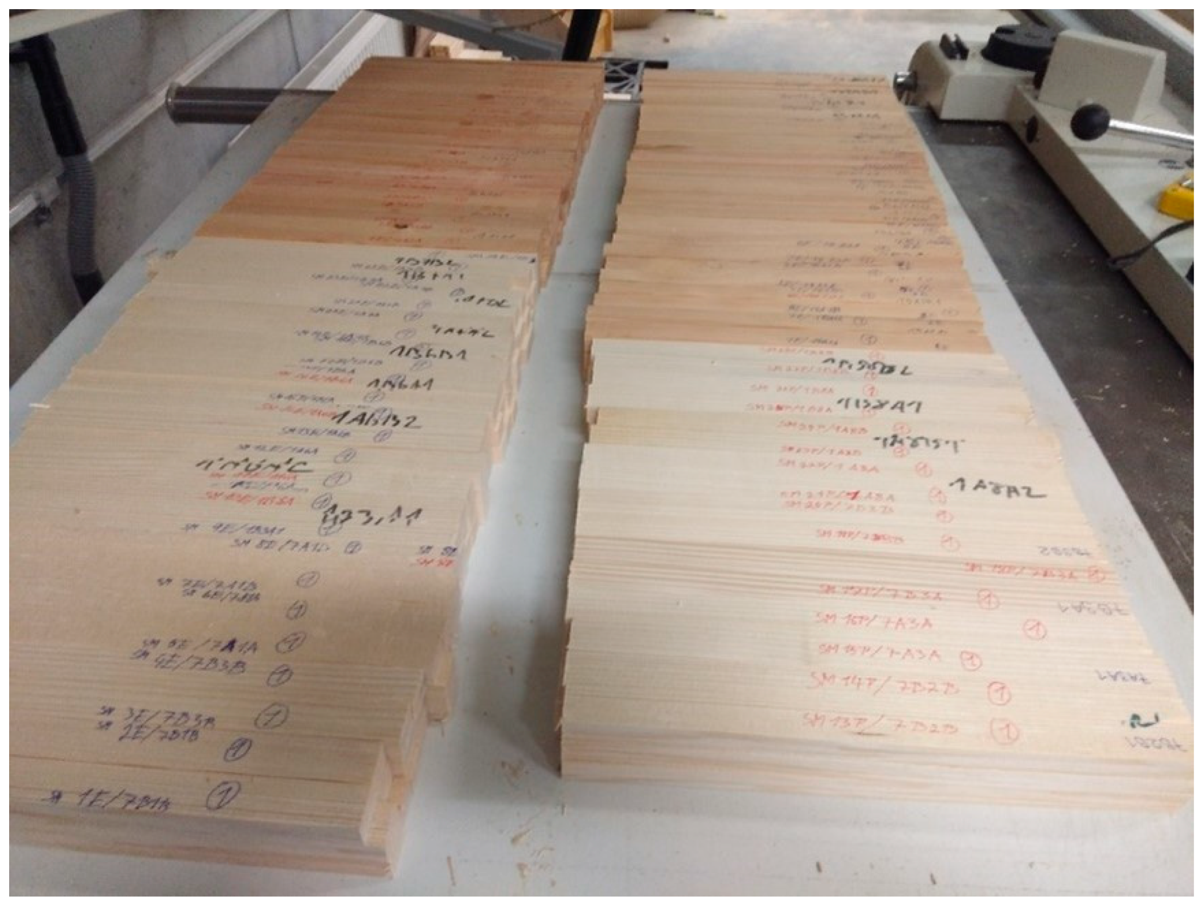 Forests 13 00364 g002