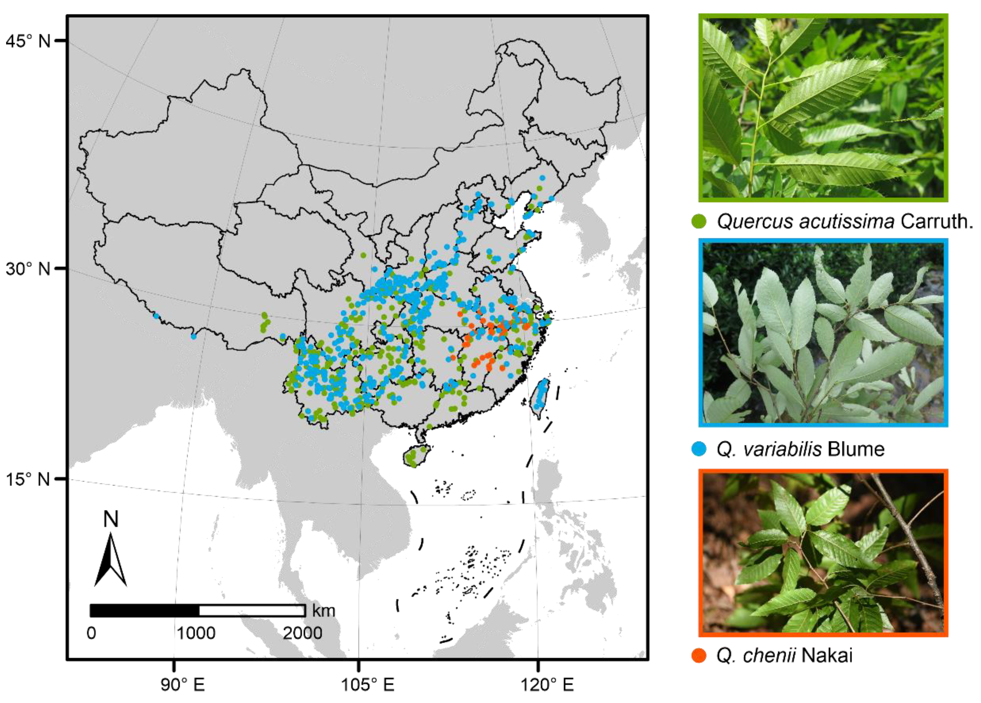 Forests 13 00367 g001