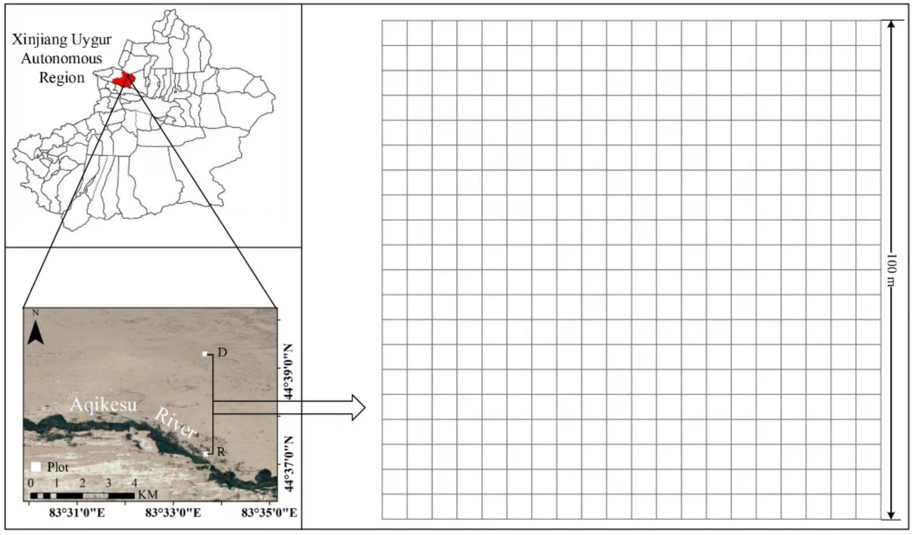 Forests 13 00368 g001