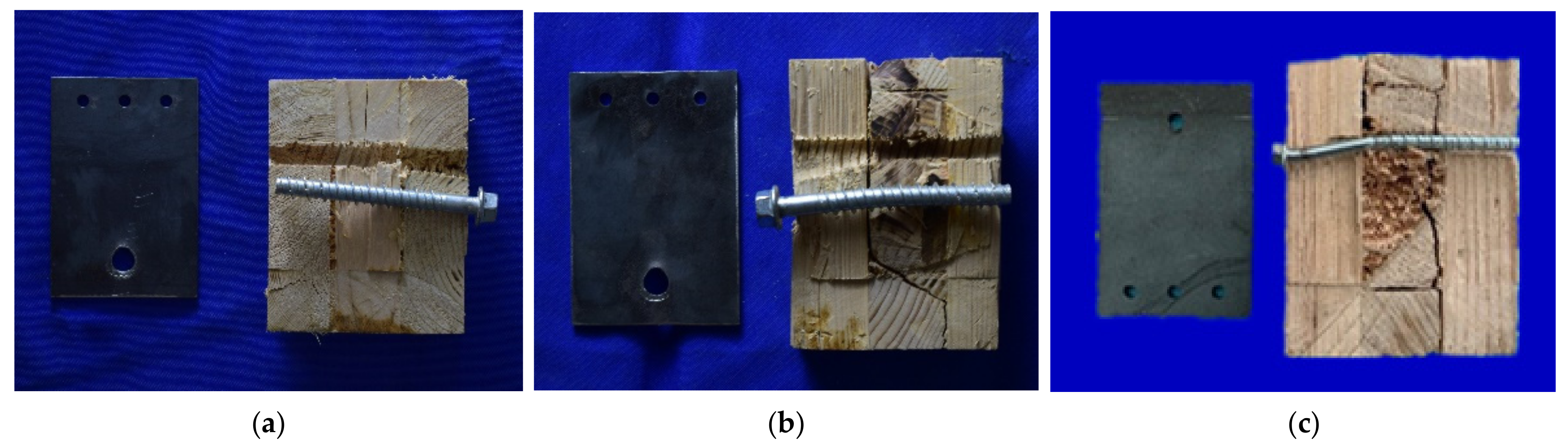 Forests 13 00375 g024