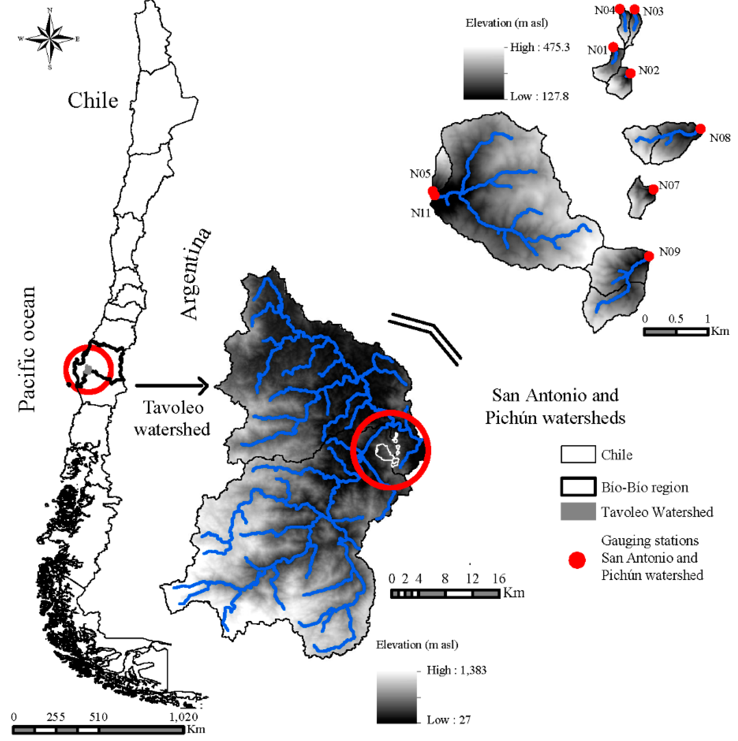 Forests 13 00378 g001
