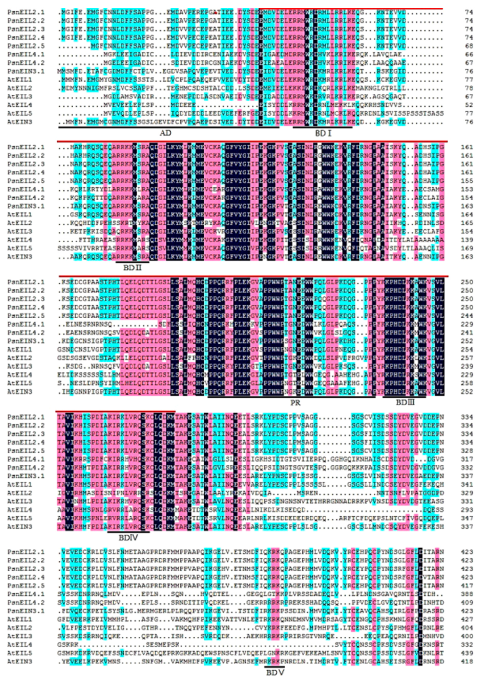 Forests 13 00382 g002