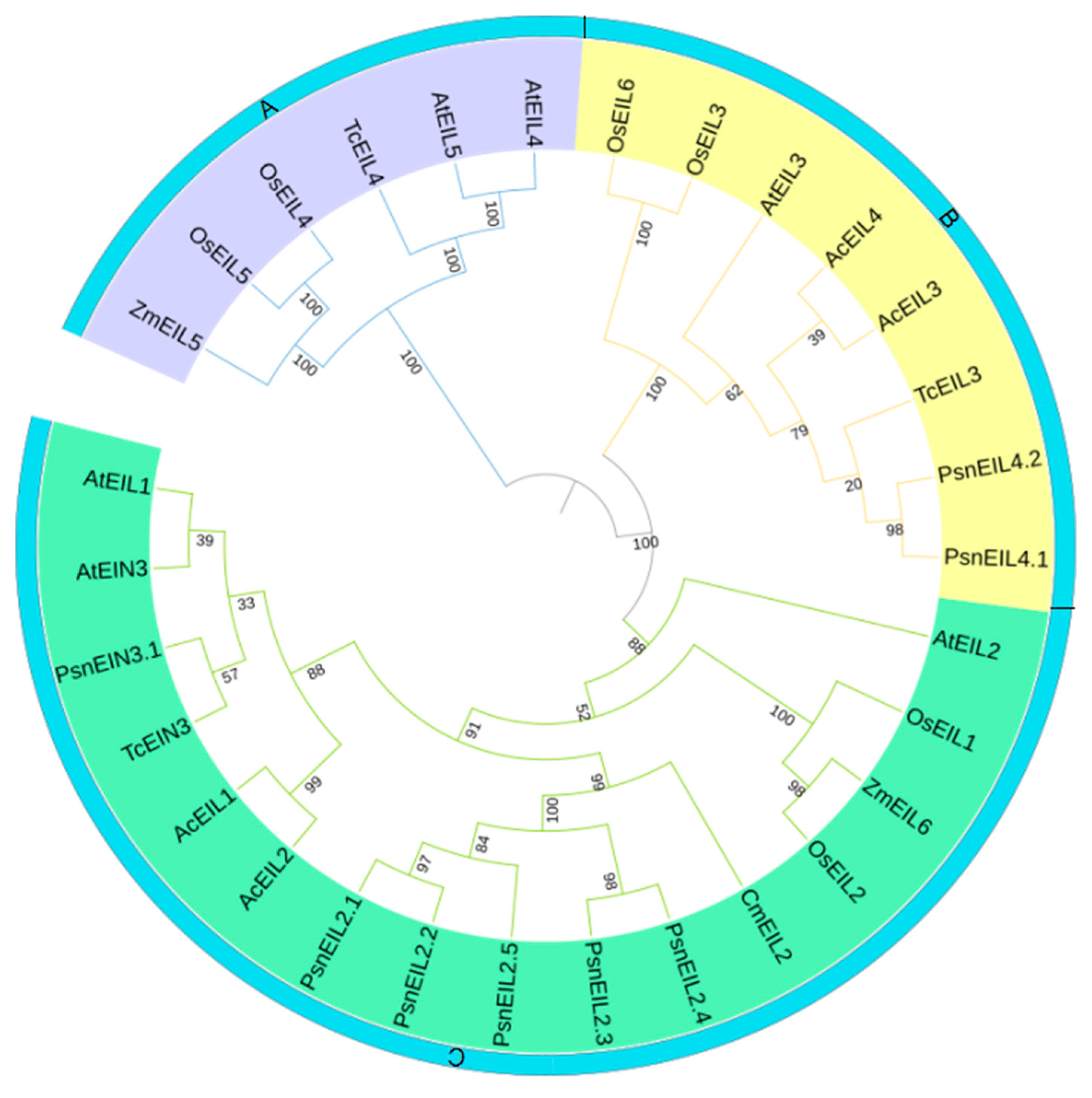 Forests 13 00382 g003