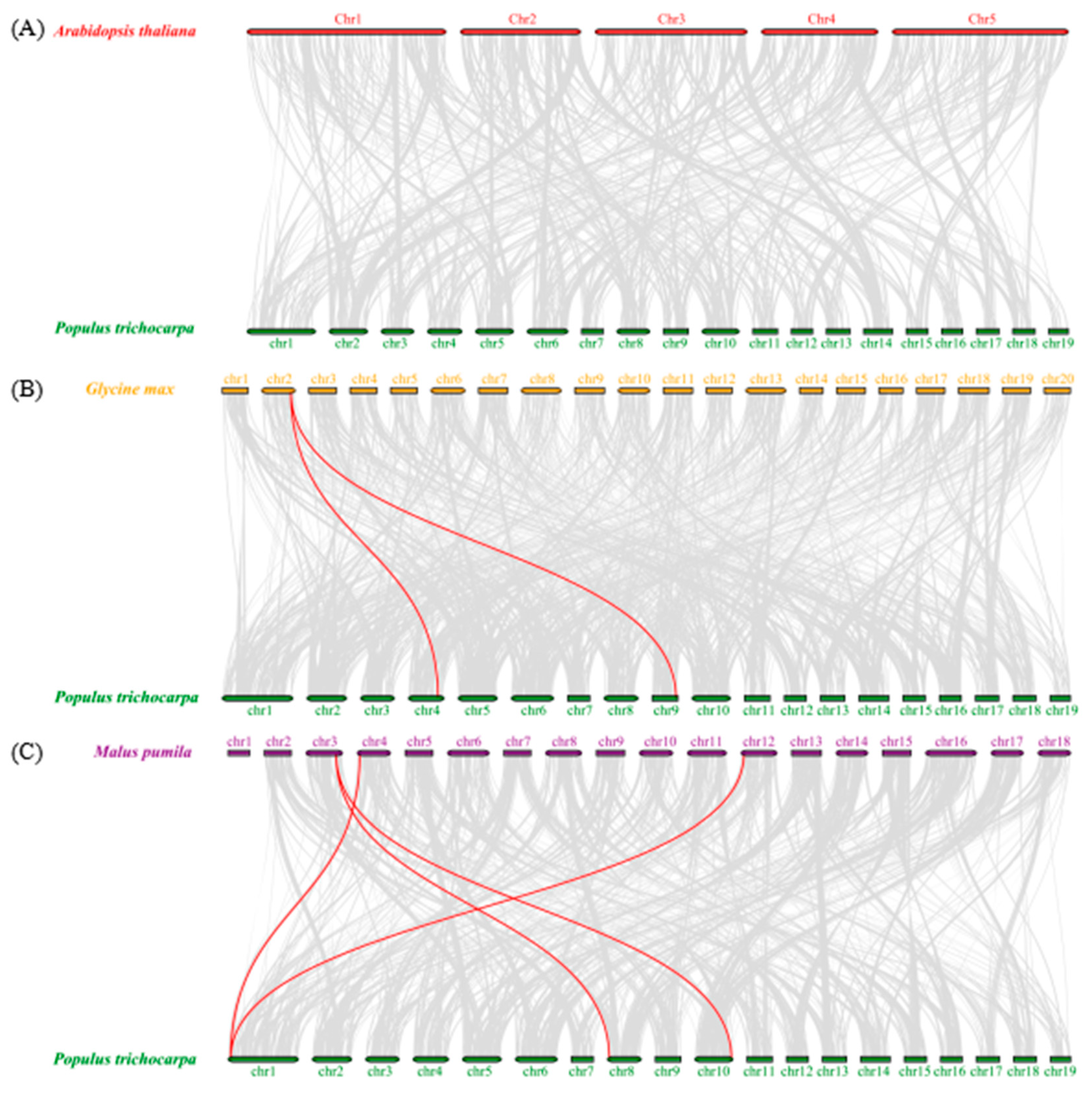 Forests 13 00382 g007