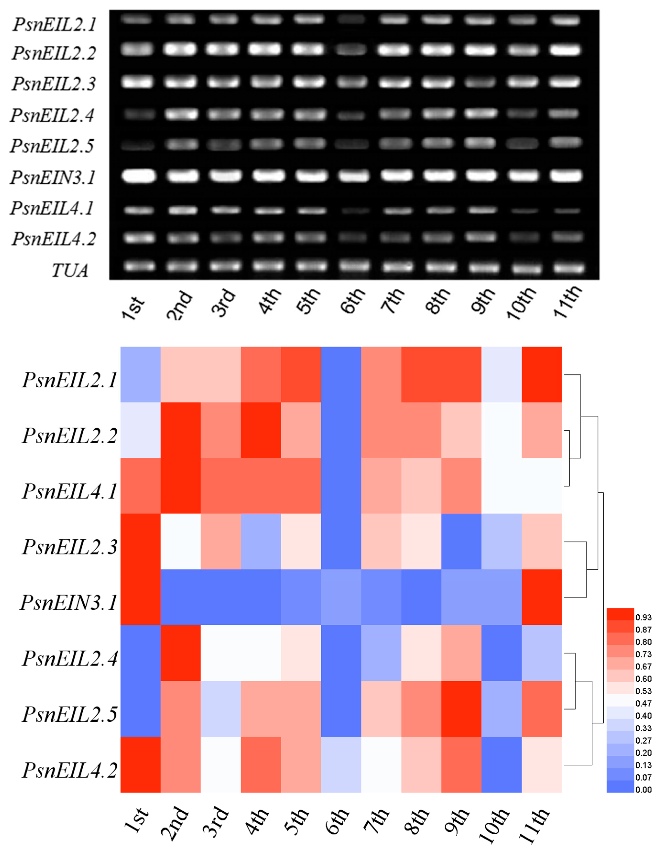 Forests 13 00382 g009