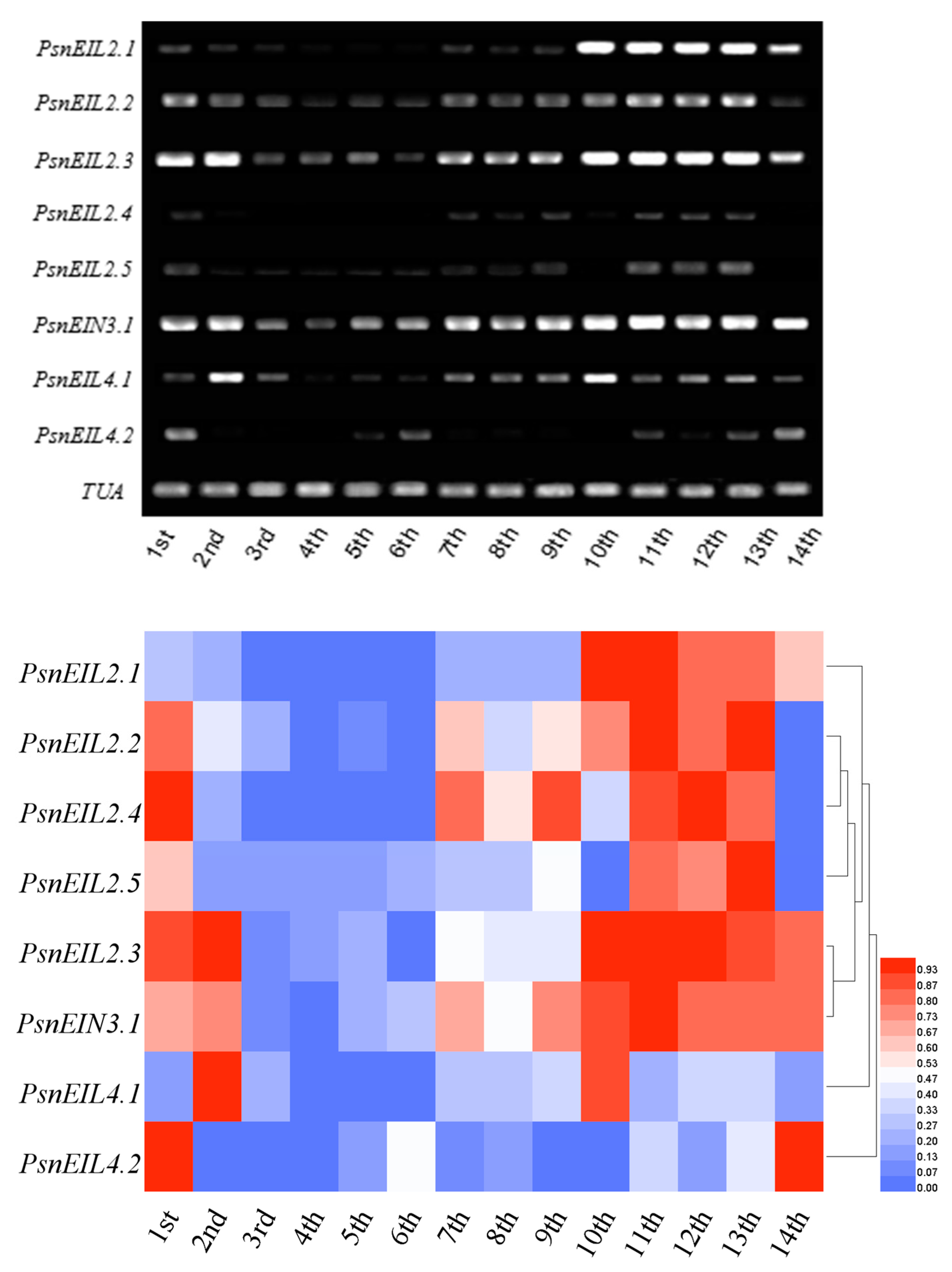 Forests 13 00382 g010