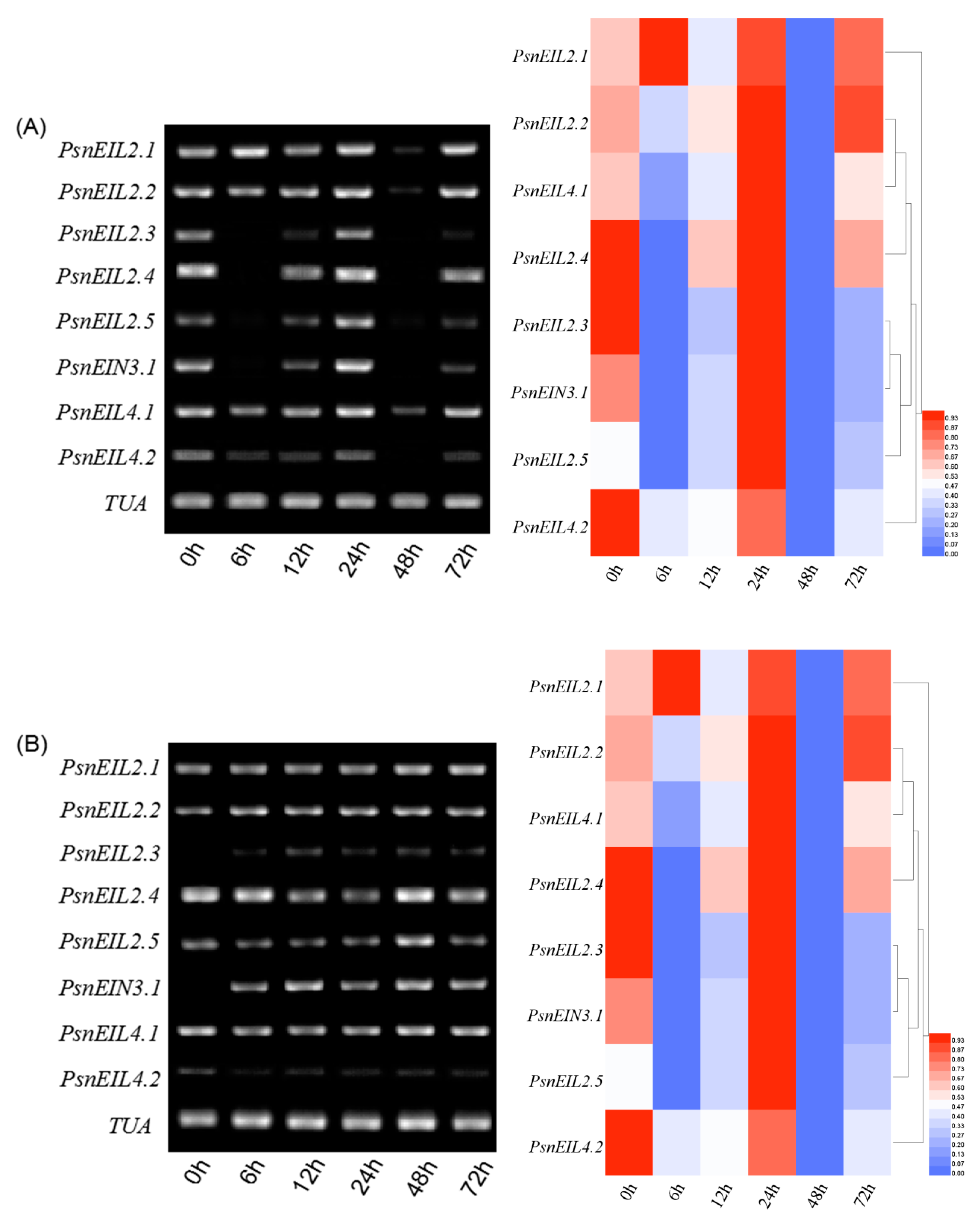 Forests 13 00382 g011