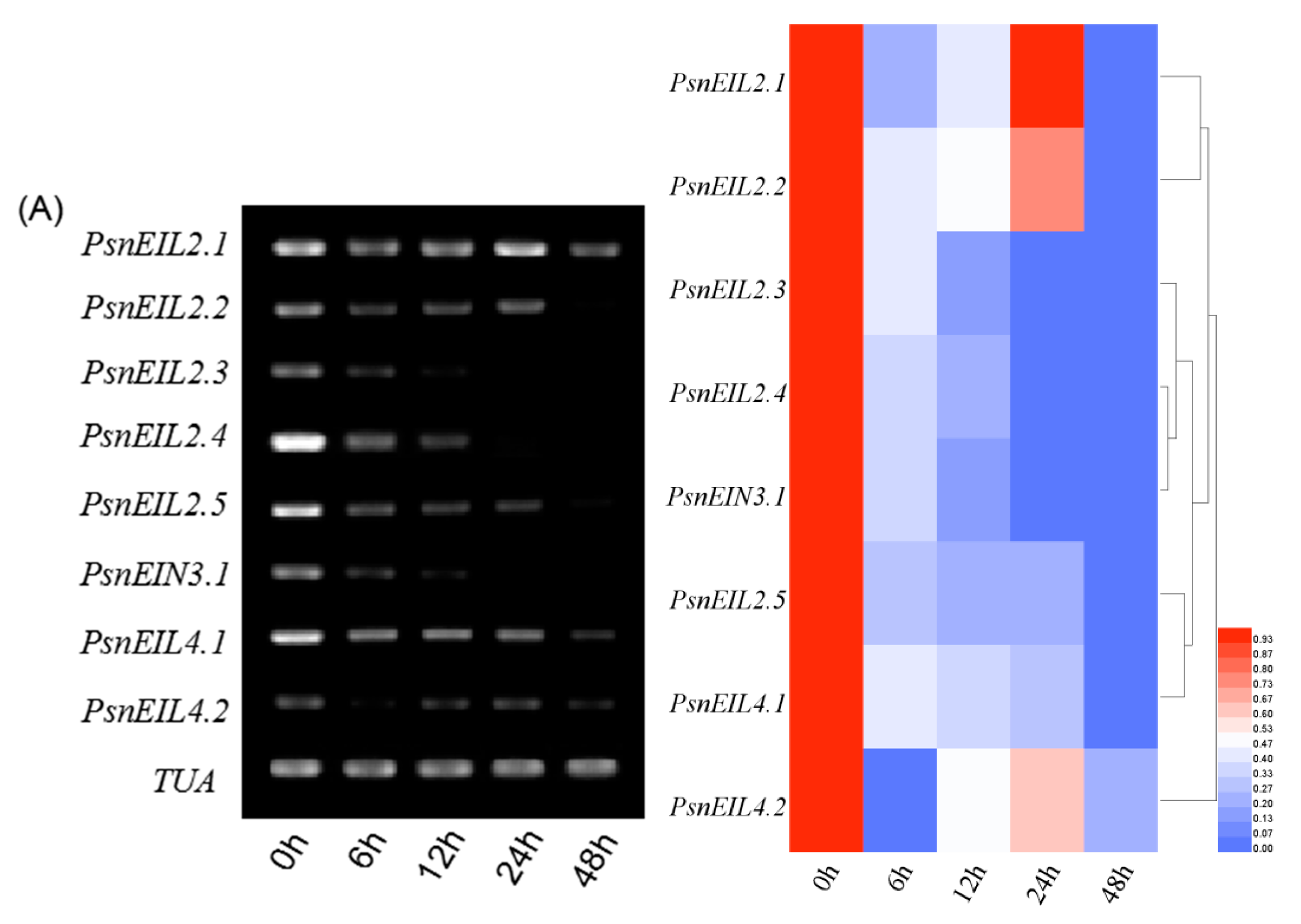 Forests 13 00382 g012a