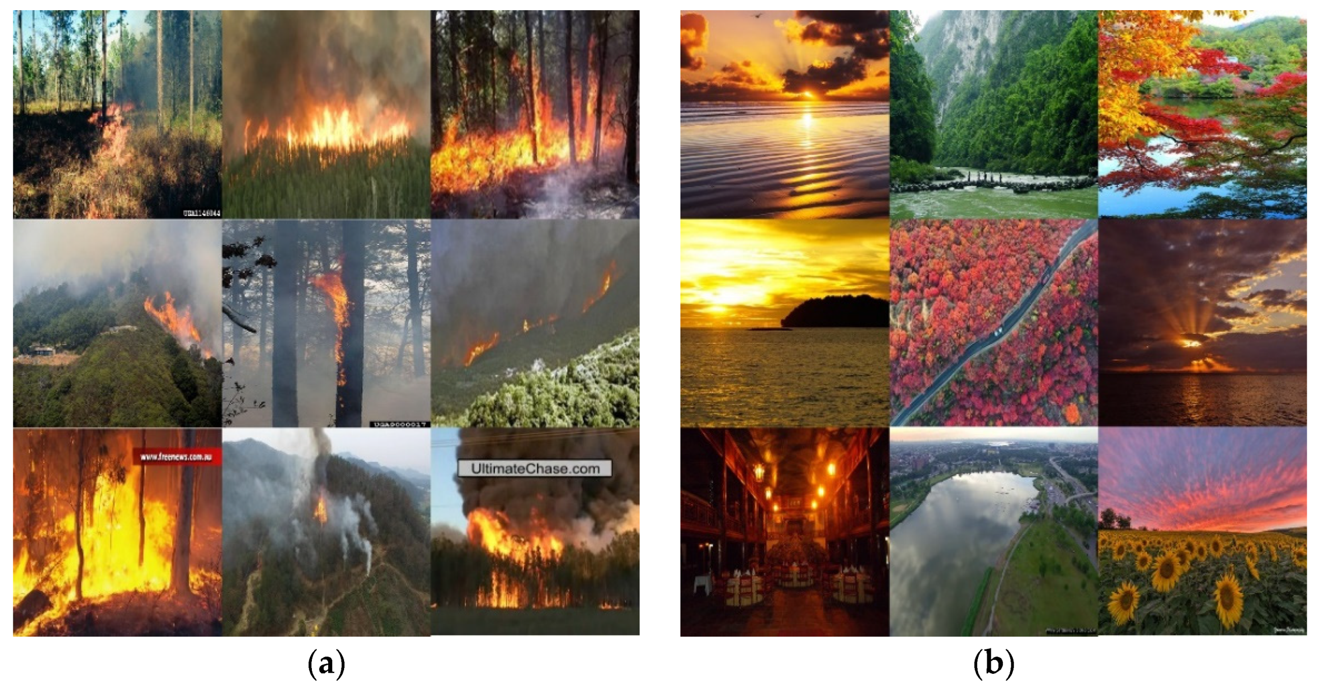 Forests 13 00383 g001