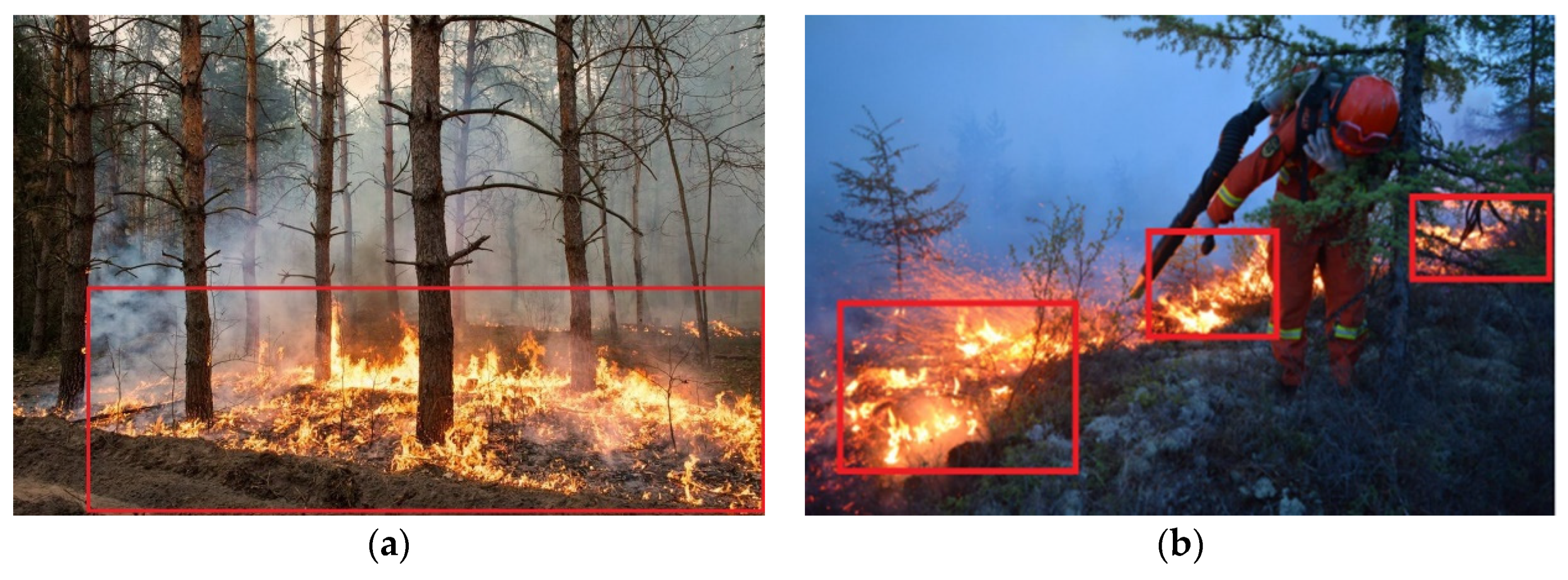 Forests 13 00383 g002