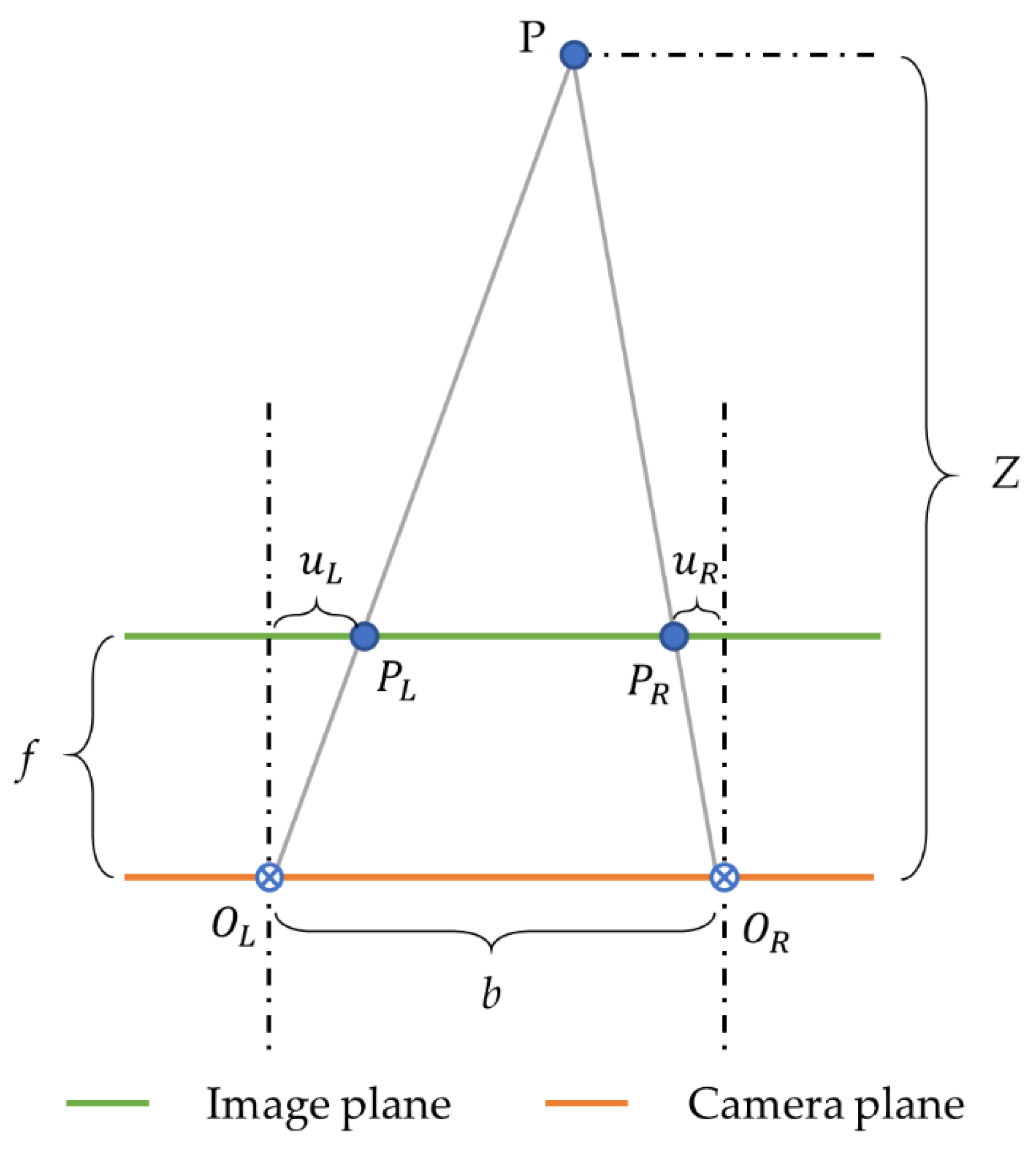 Forests 13 00383 g006