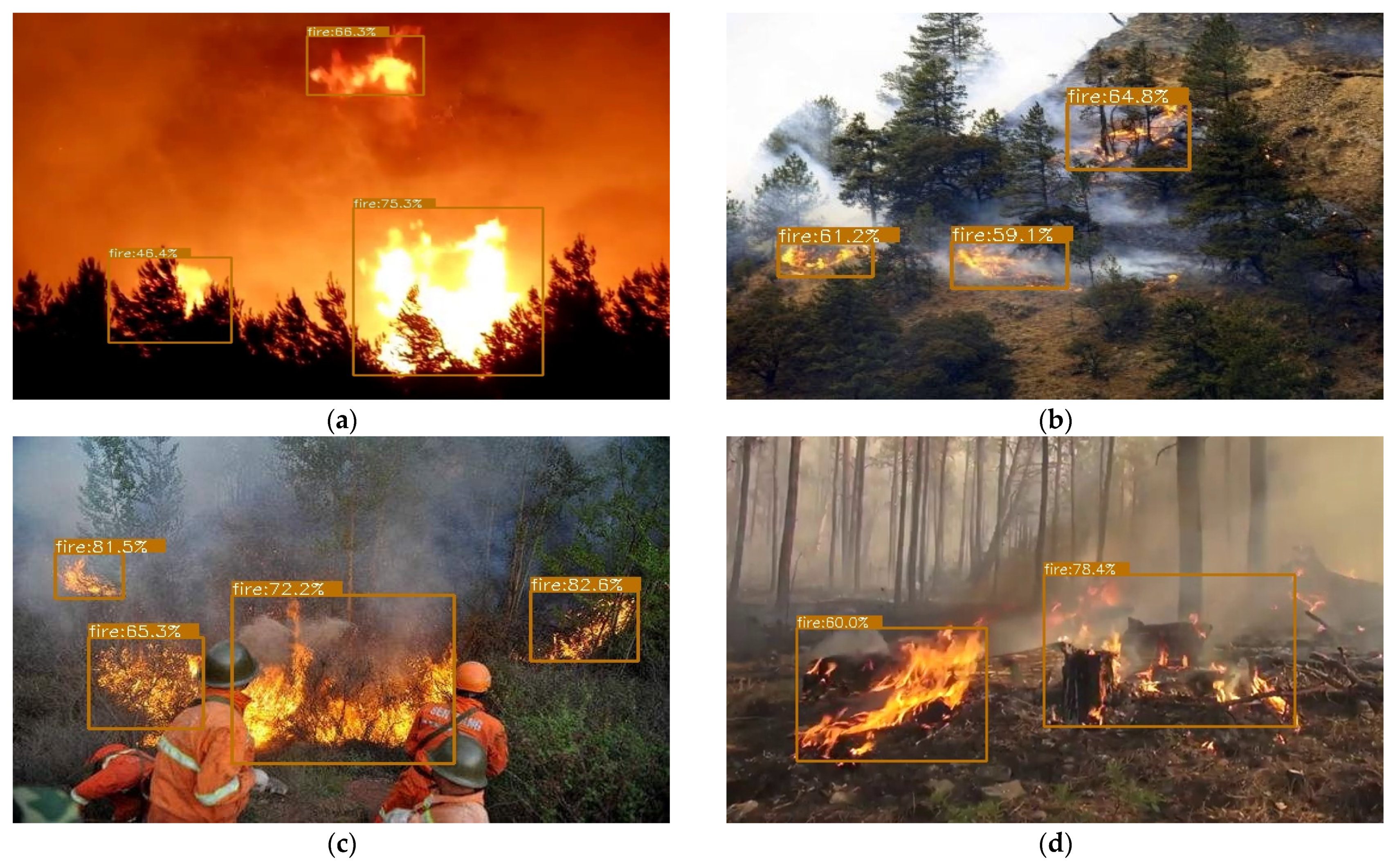 Forests 13 00383 g012