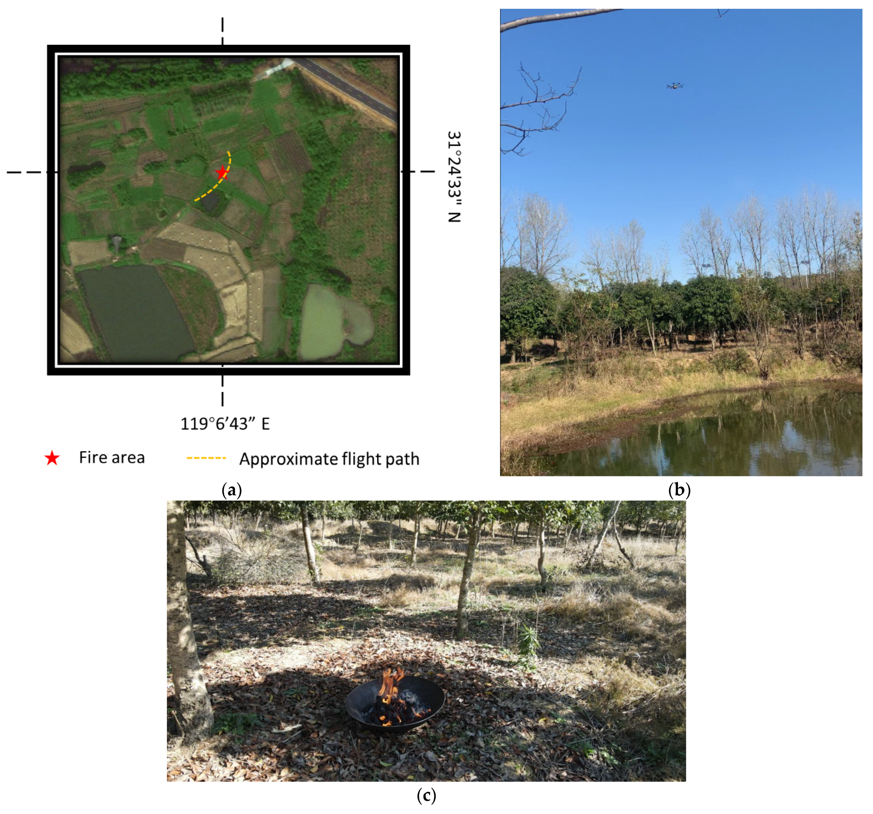 Forests 13 00383 g013