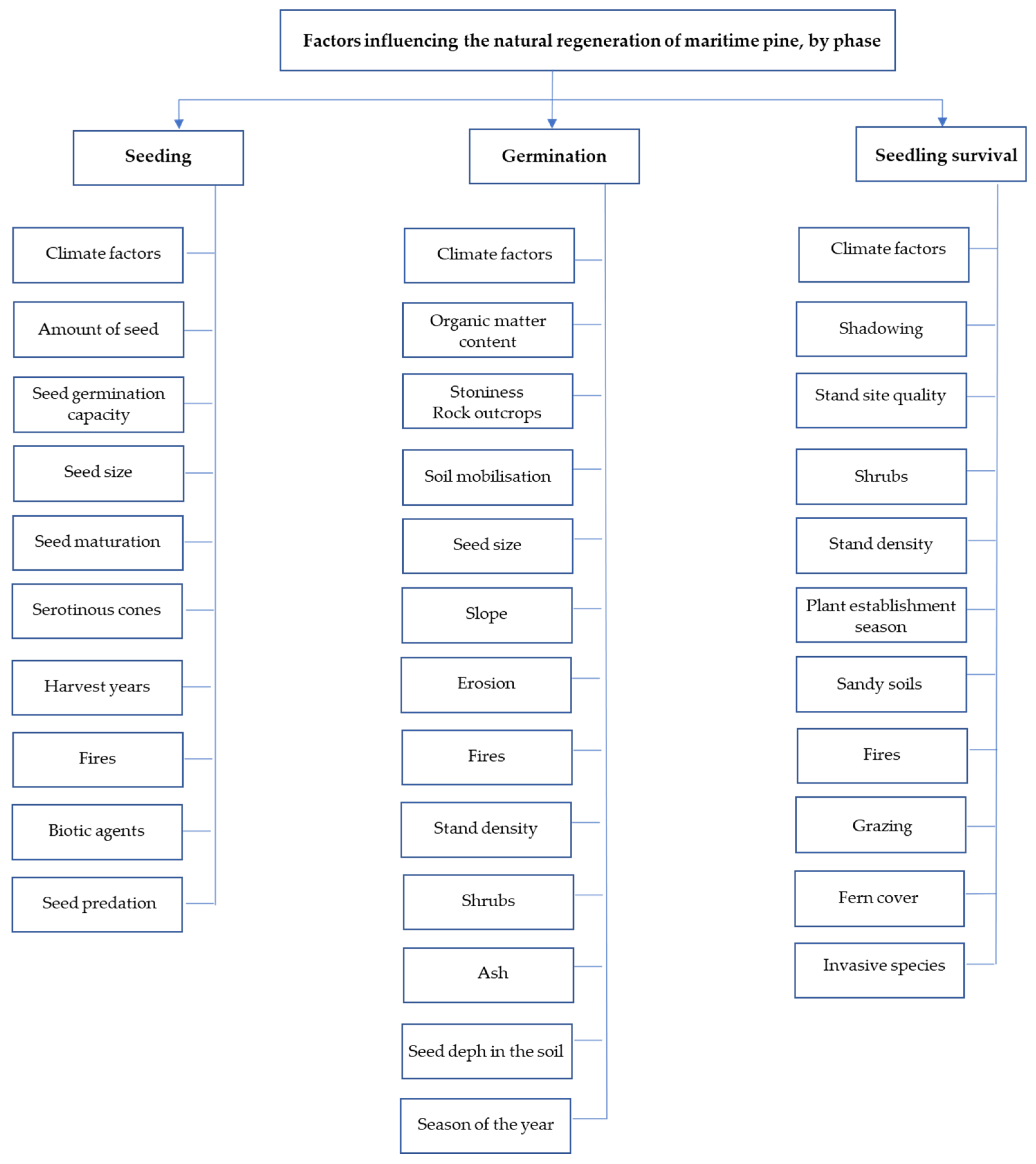 Forests 13 00386 g001 Forests 13 00386 g001