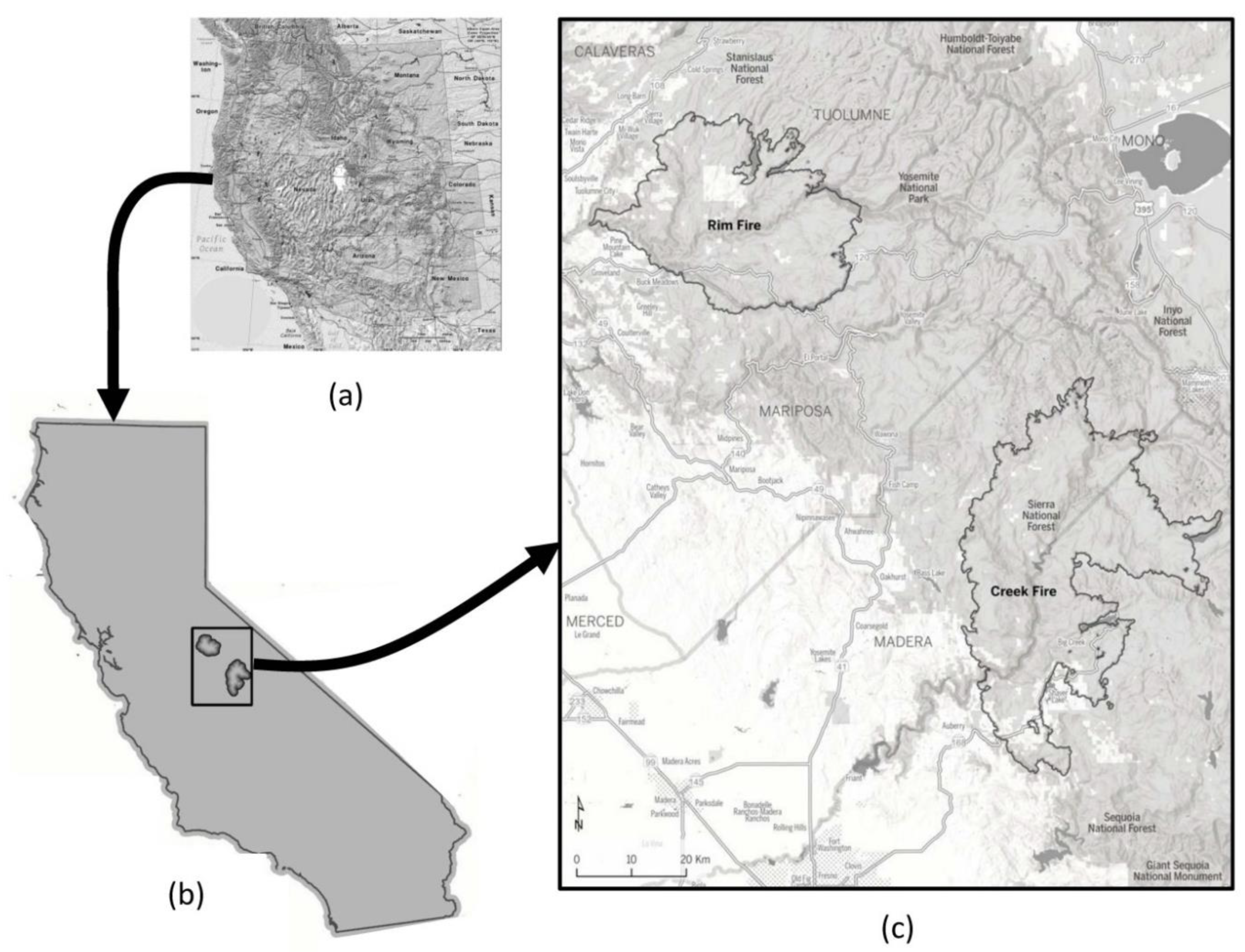 Forests 13 00391 g001