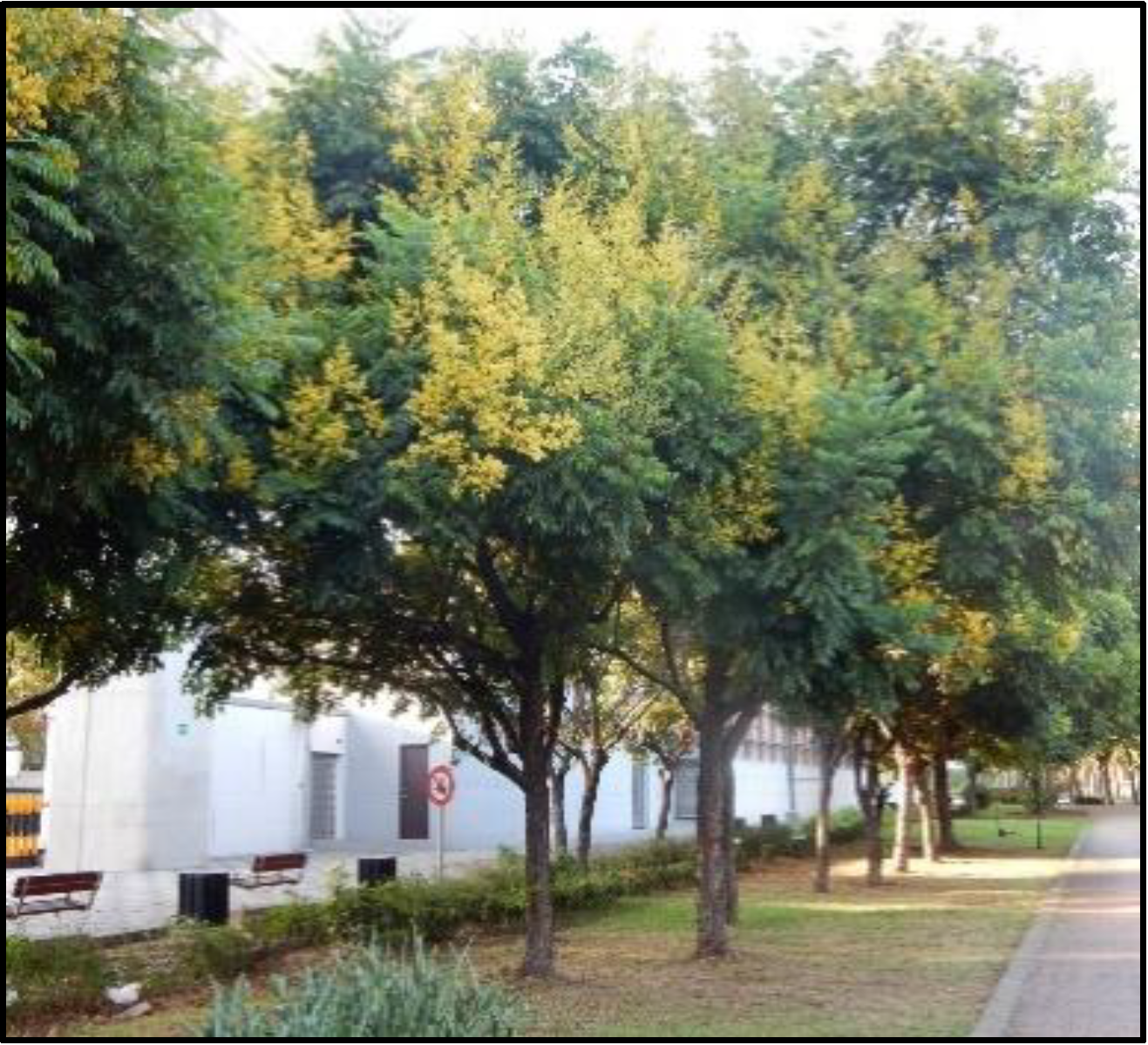 Forests 13 00392 g003