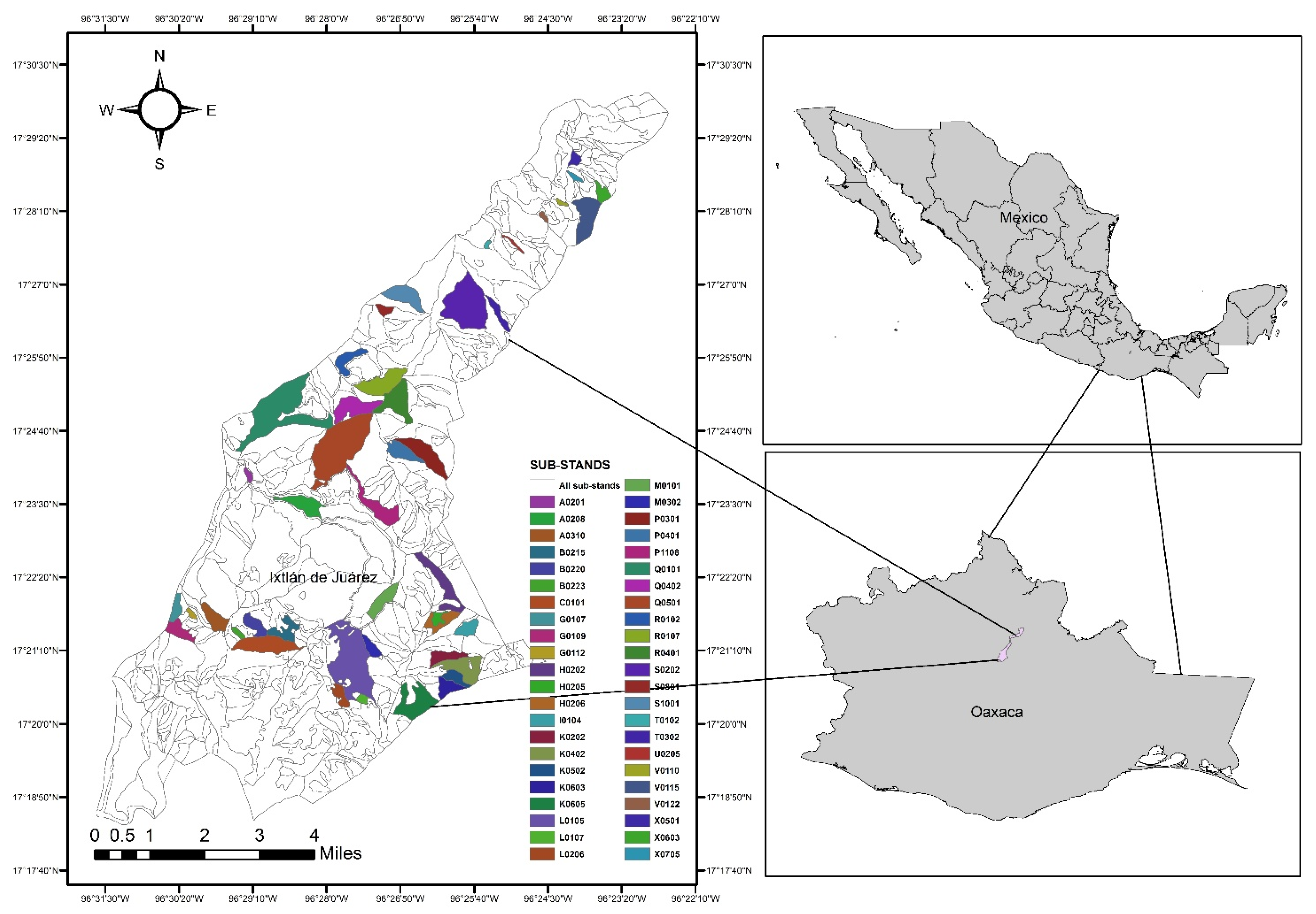 Forests 13 00393 g001