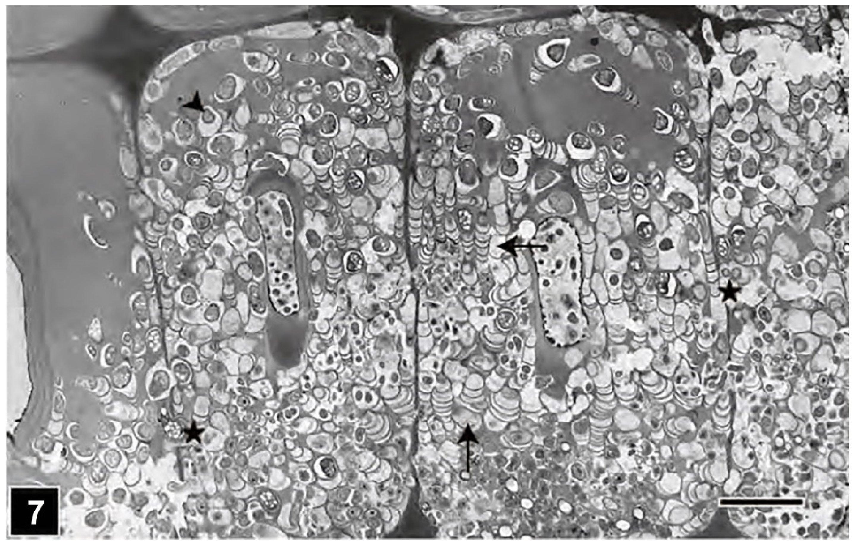 Forests 13 00394 g007