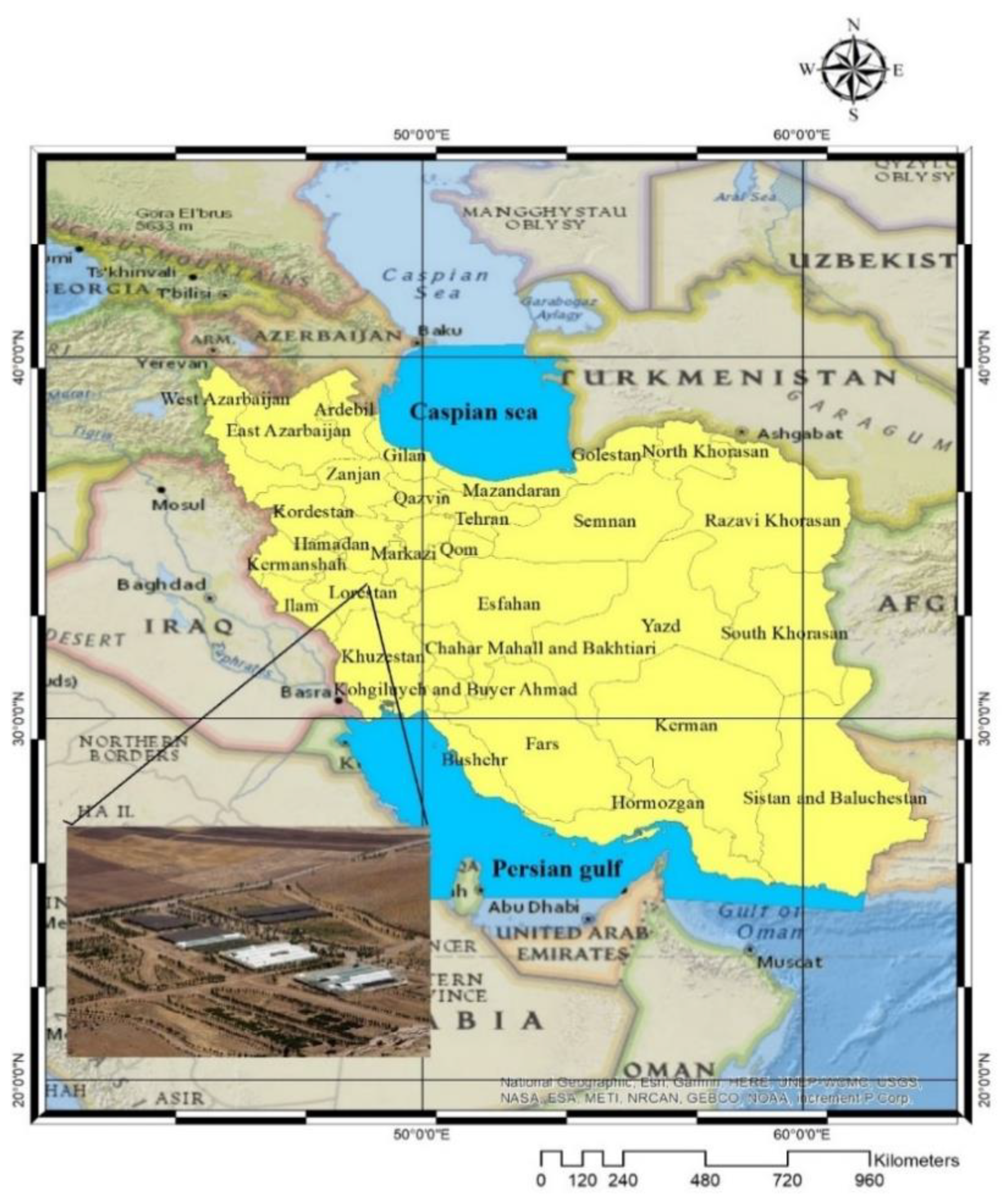 Forests 13 00399 g001