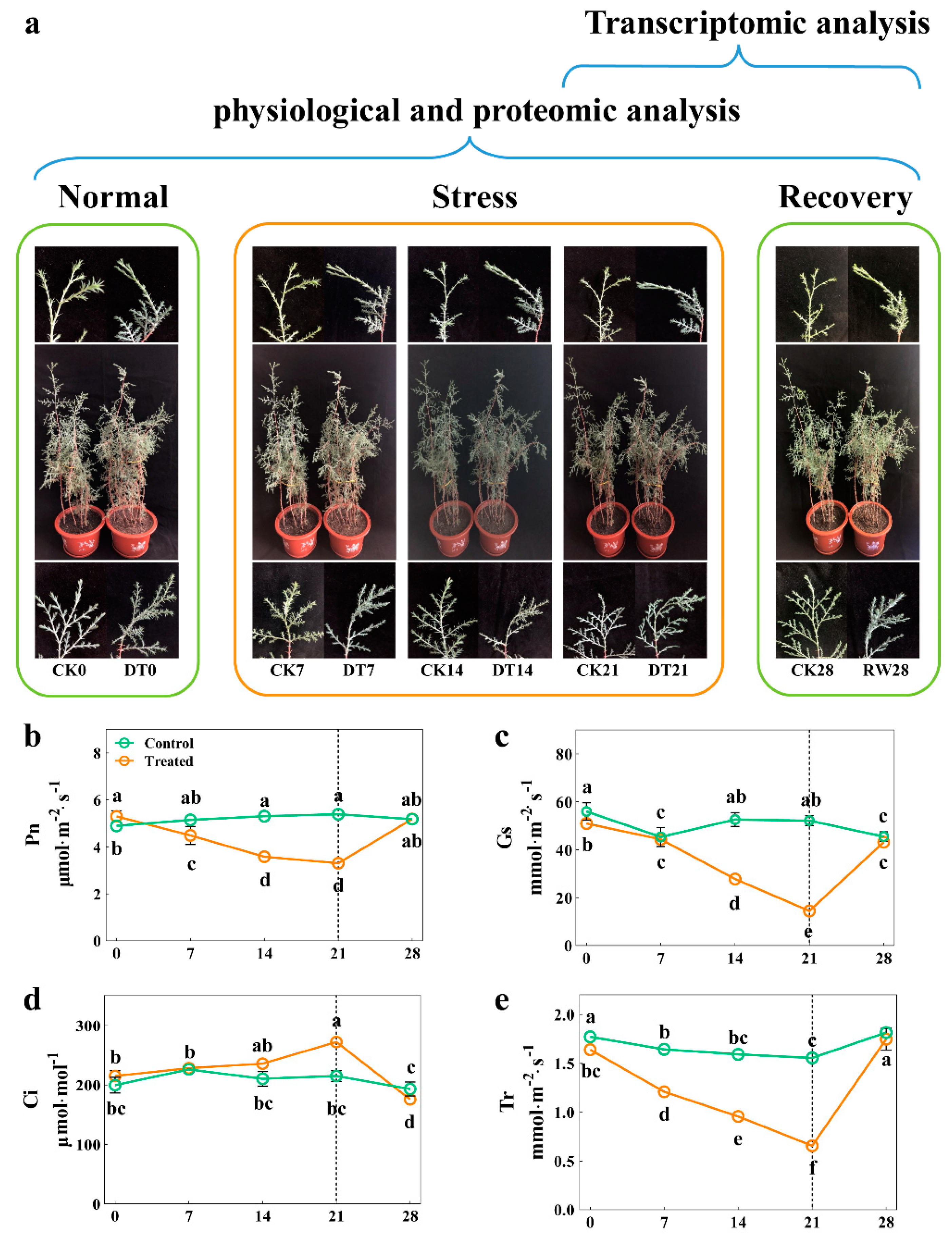 Forests 13 00401 g001