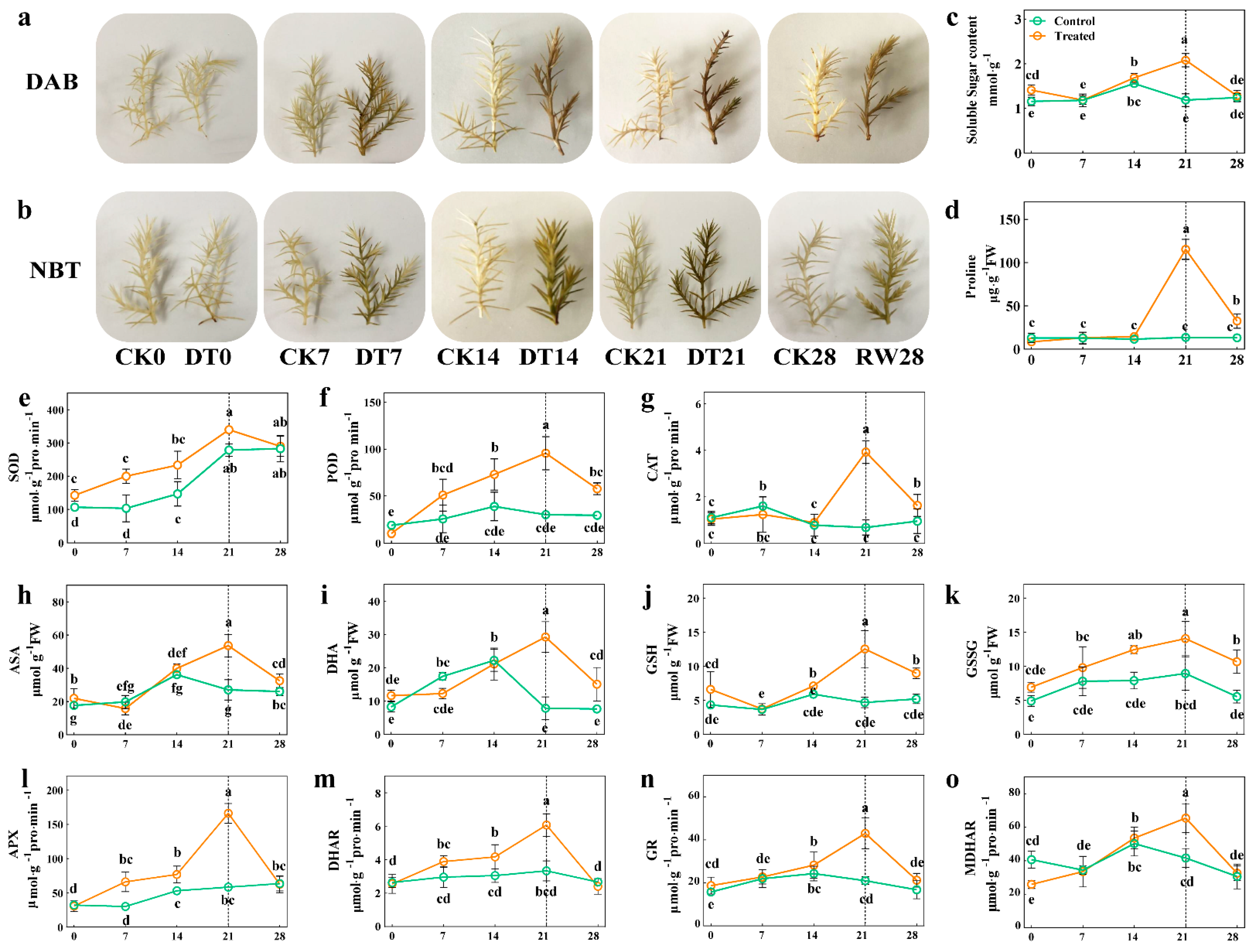 Forests 13 00401 g002