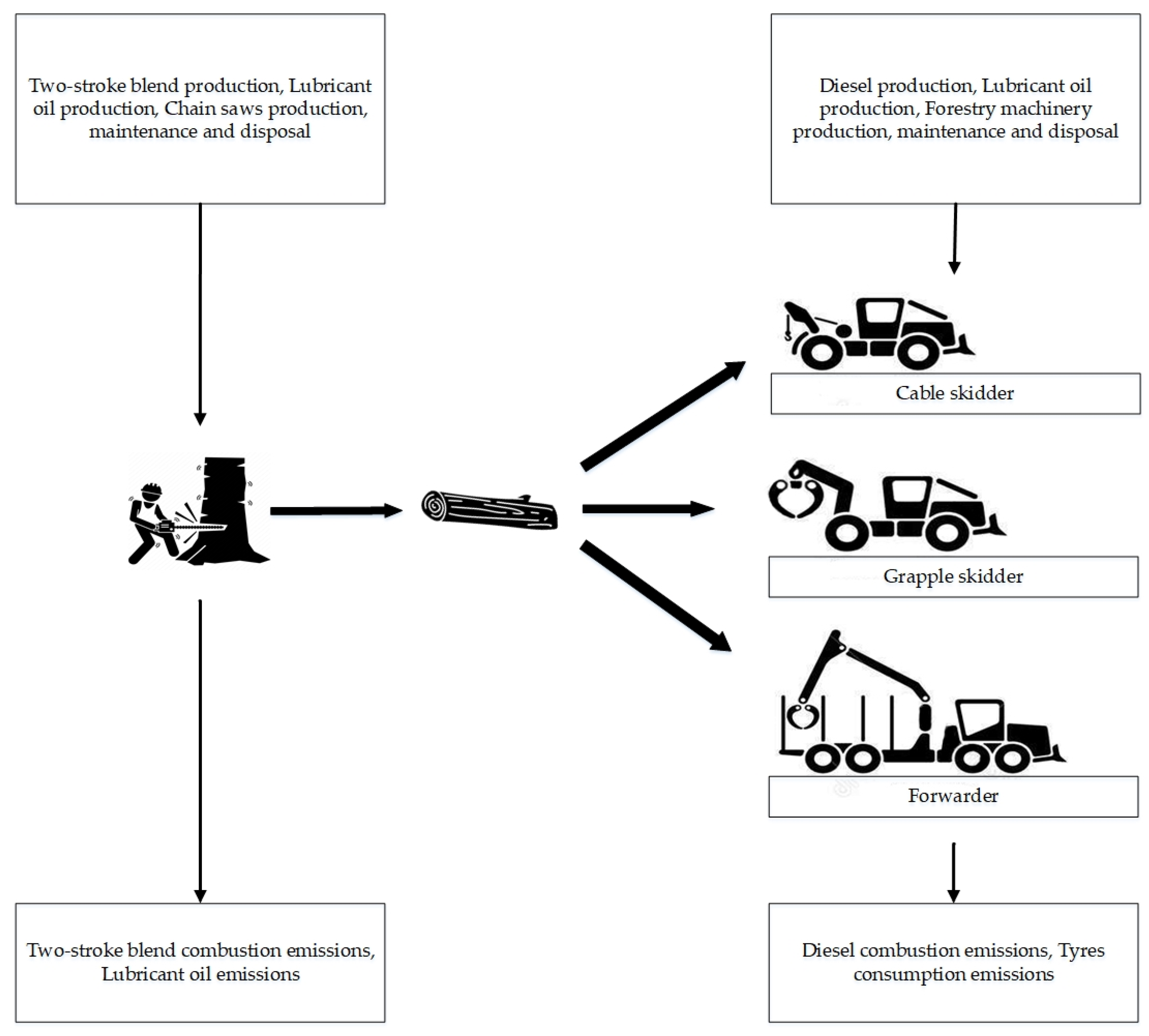 Forests 13 00403 g002