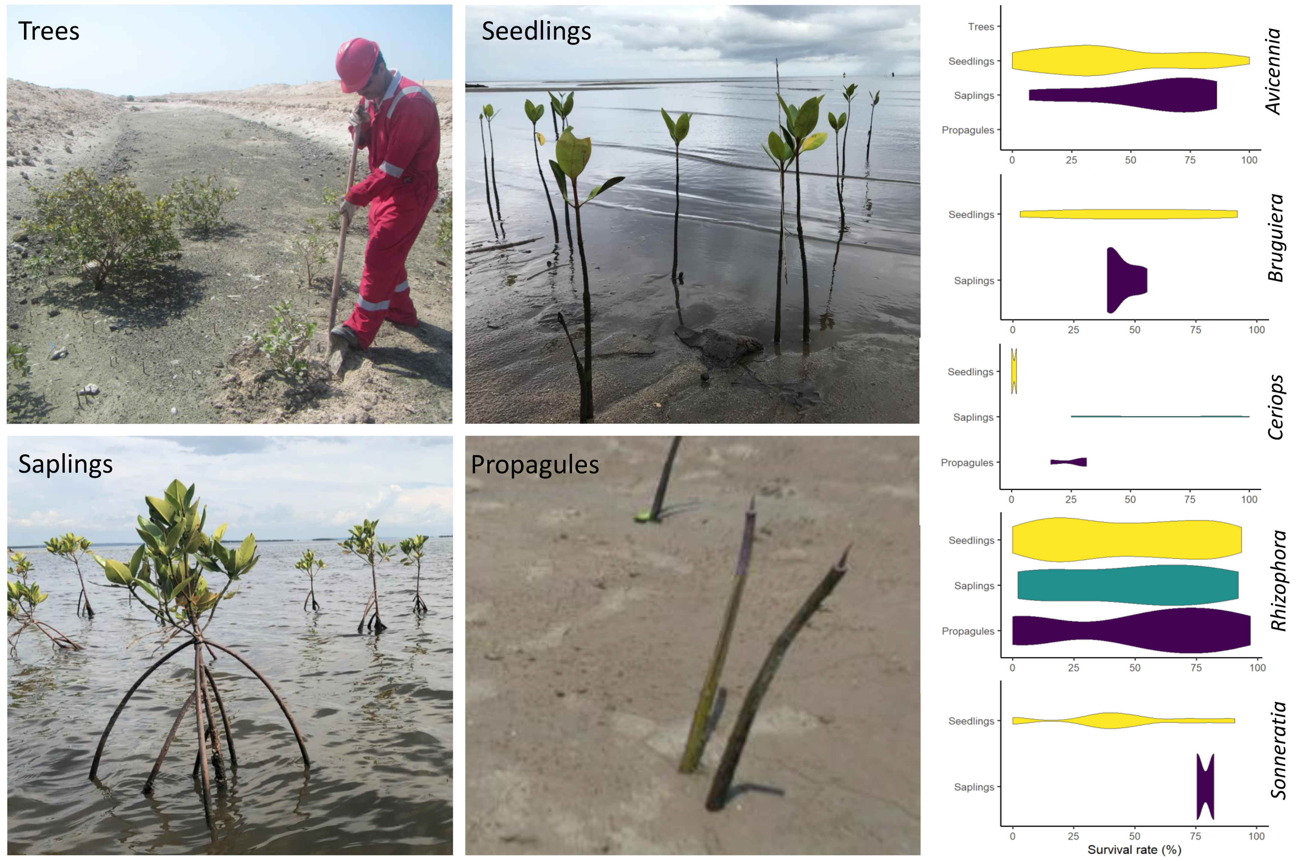 Forests 13 00404 g002