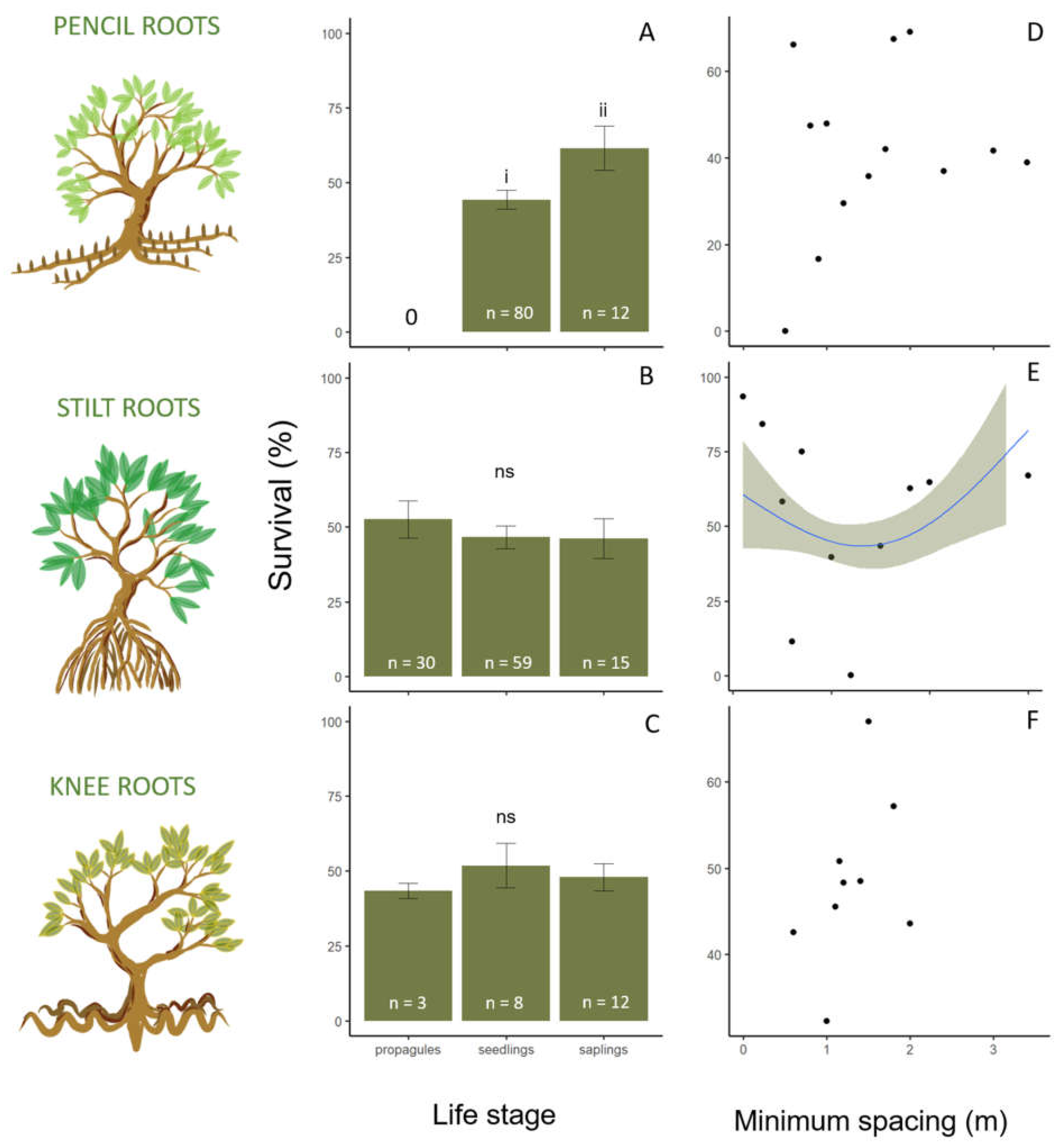 Forests 13 00404 g003