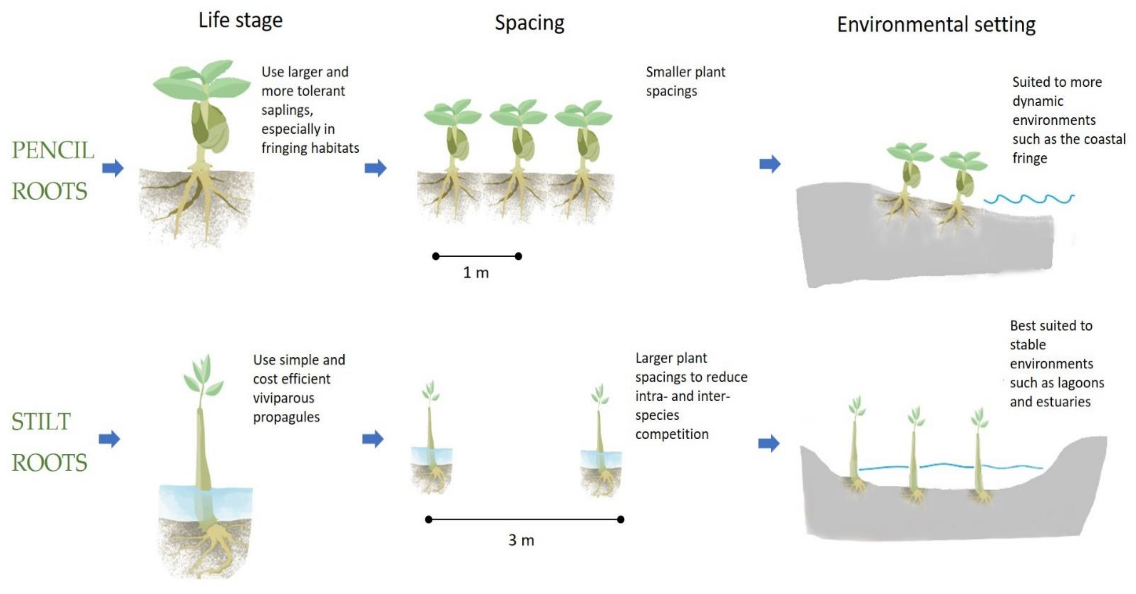 Forests 13 00404 g005